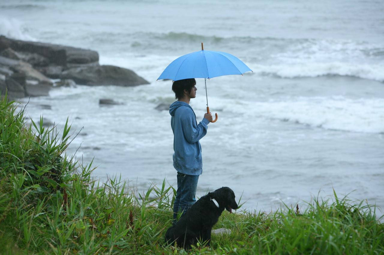 單身男孩與黑犬 壁紙 — 一個人拿著藍色雨傘，與一隻黑狗站在俯瞰暴風雨海洋的草崖上。