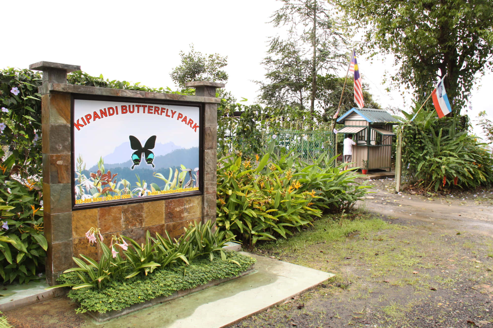 Butterfly Park 桌布 壁紙 — 喺多雲嘅天空下，被茂密嘅綠色植物同熱帶植物包圍嘅Kipandi蝴蝶公園入口標誌。