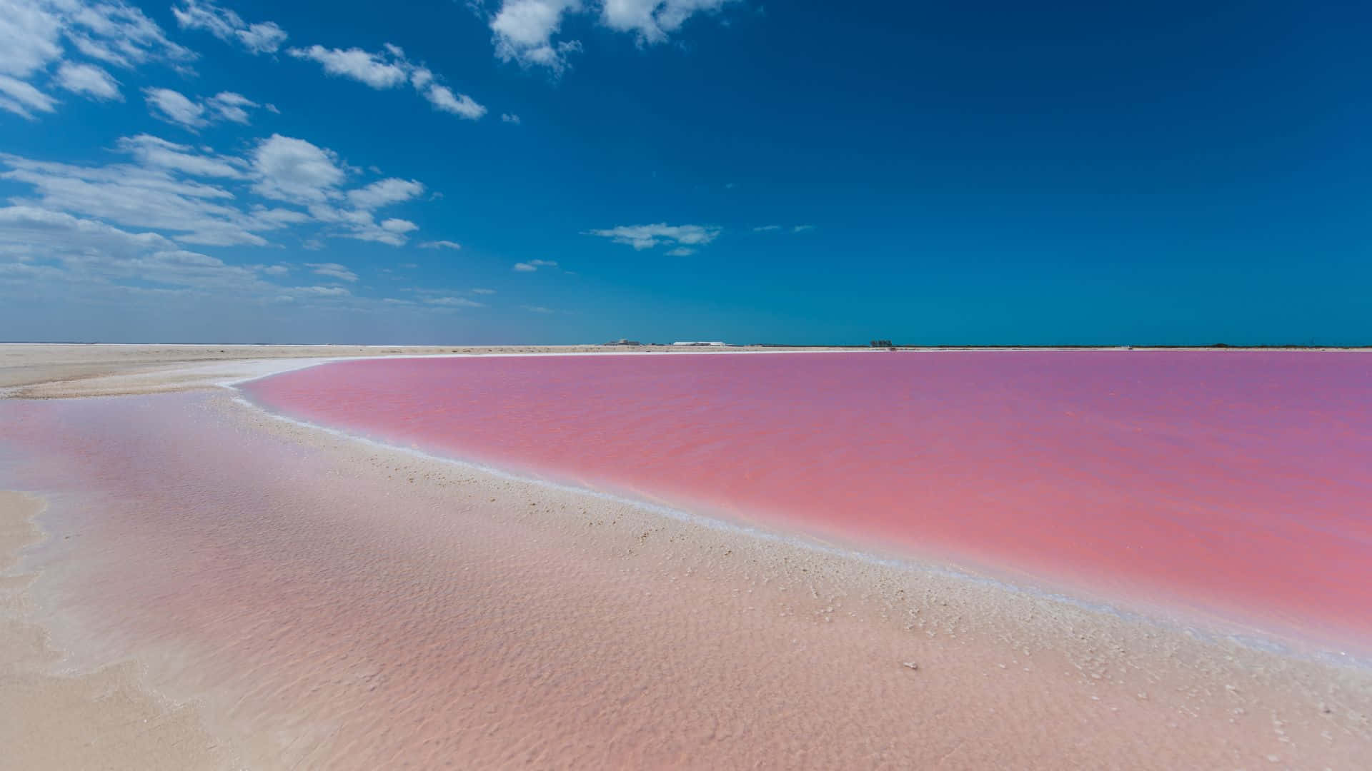 Pink Beach 桌布 壁紙 — 喺明亮藍天同散落白雲下，一望無際嘅粉紅色鹽湖嘅壯麗航拍景色。