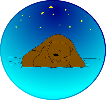 喺星空下瞓覺嘅熊仔 壁紙