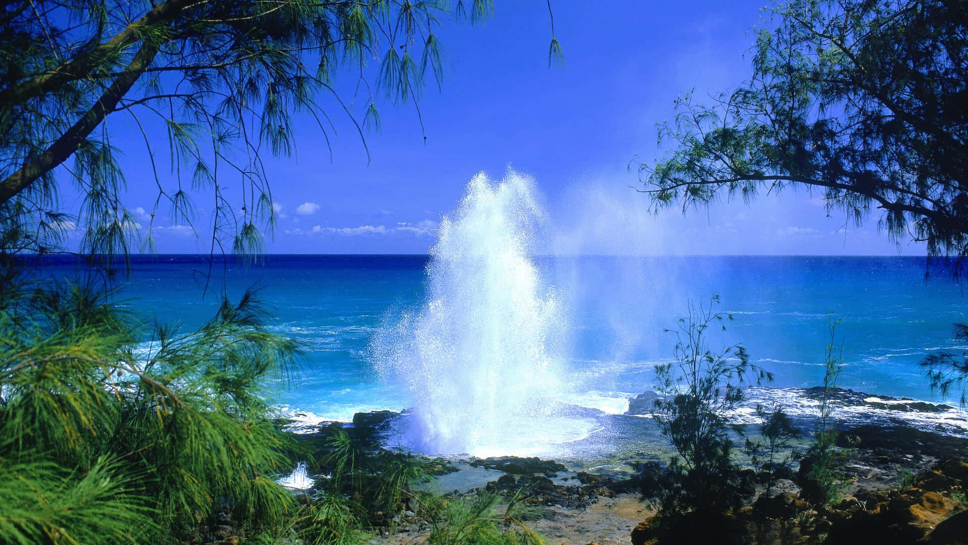 Hawaiian Beach 桌布 壁紙 — 喺晴朗藍天下，茂密綠樹環繞嘅岩石海岸噴射出強勁嘅海浪水花。