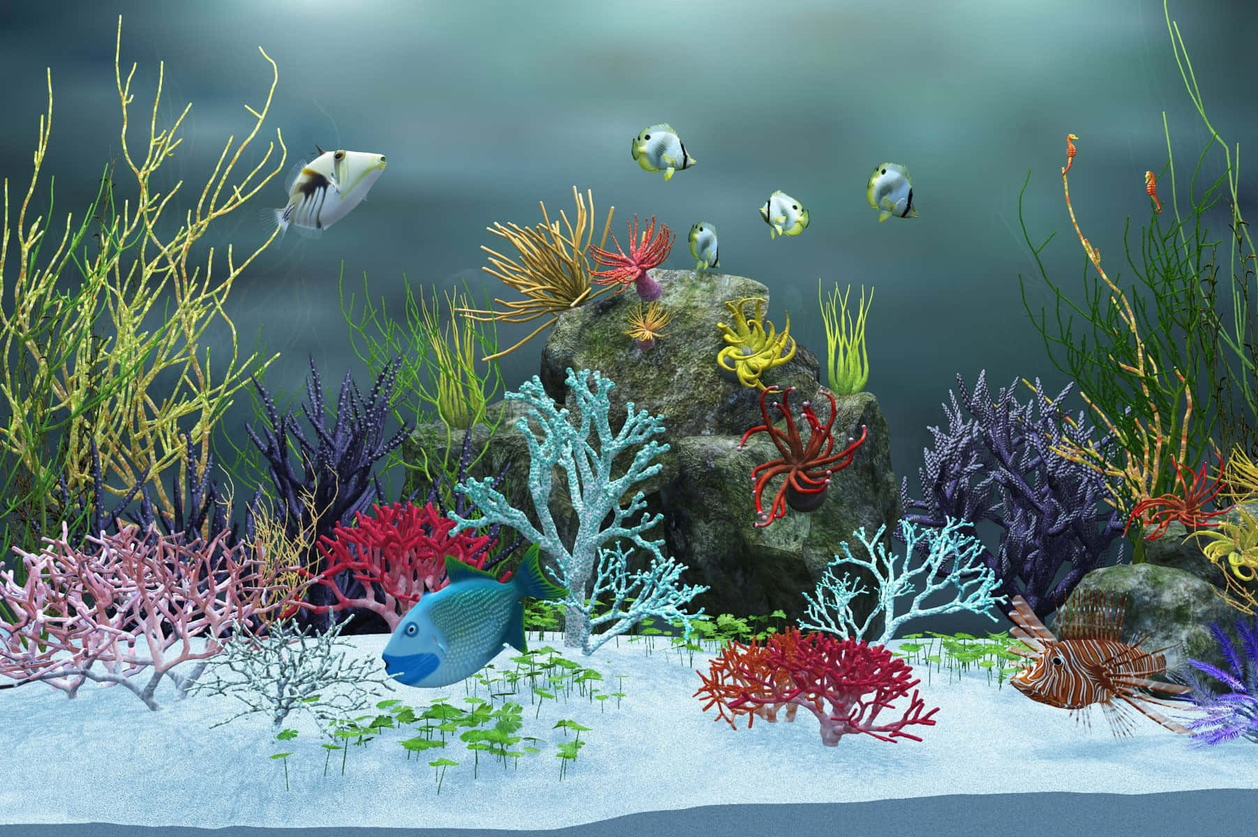 水族箱 桌布 壁紙 — 喺柔和藍綠色海水下，充滿活力嘅珊瑚礁有好多色彩繽紛嘅魚同多樣化嘅海洋生物。