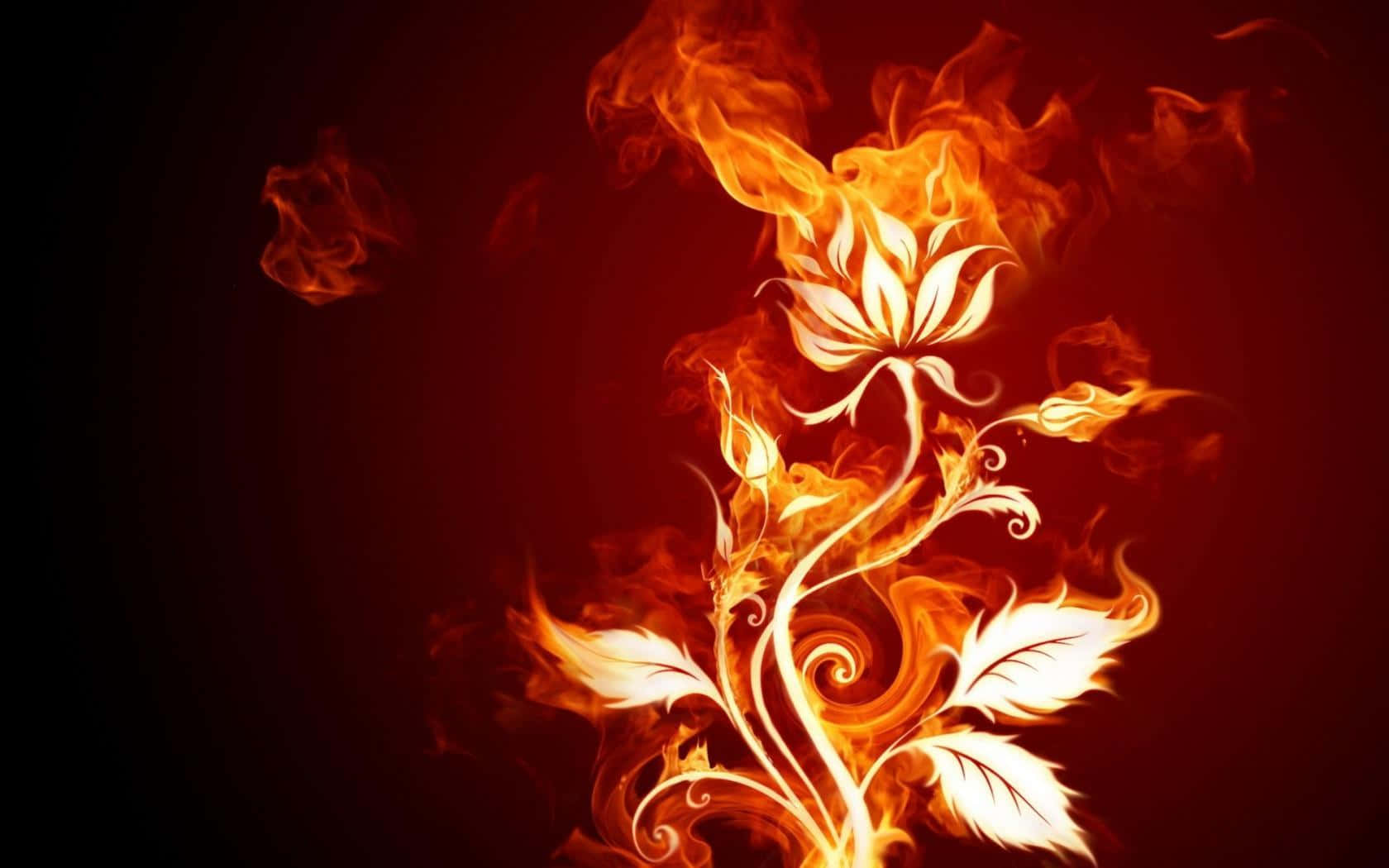 3d Fire 桌布 壁紙 — 喺深紅色背景上，一個閃爍嘅白色花卉圖案從旋轉嘅火焰中浮現。