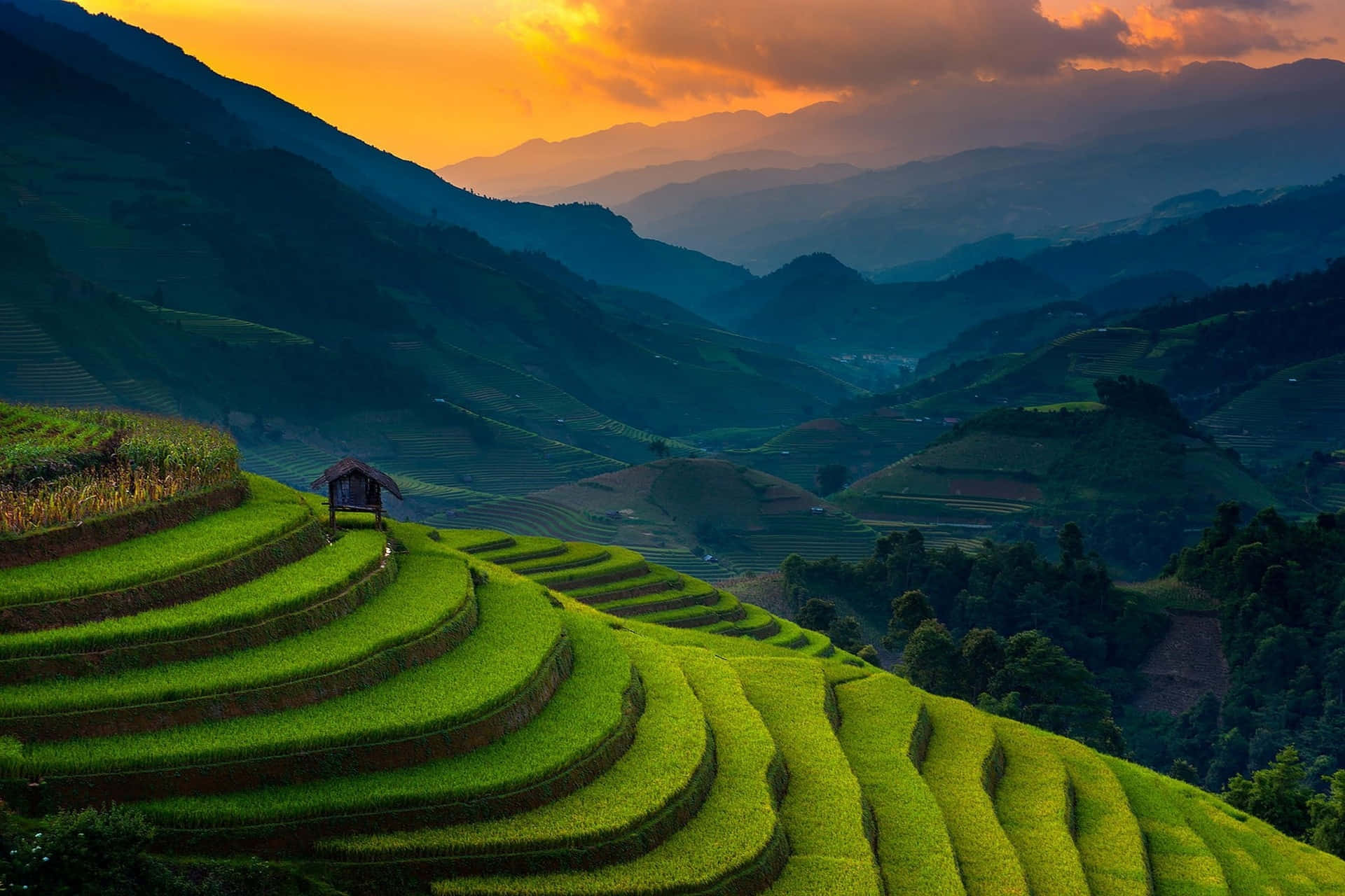 Vietnam 桌布 壁紙 — 喺火辣辣嘅橙色日落天空下，充滿活力嘅綠色水稻梯田沿住煙霧繚繞嘅山脈層層疊疊咁傾瀉而下。