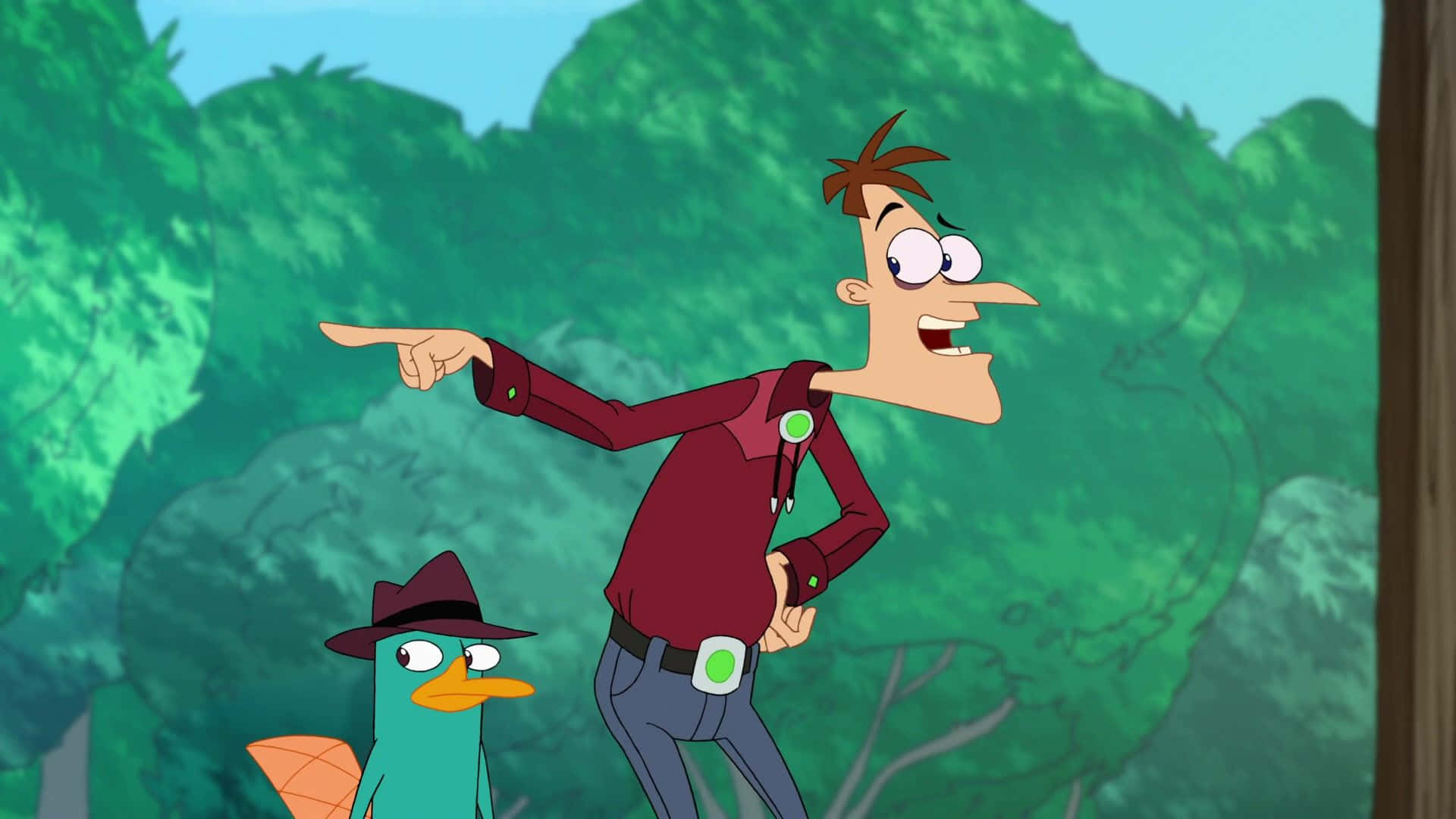 Phineas And Ferb 桌布 壁紙 — 喺茂密嘅綠色森林入面，一個著住栗色衫嘅卡通男仔興奮咁指住旁邊一隻戴住紳士帽嘅青綠色鴨仔。