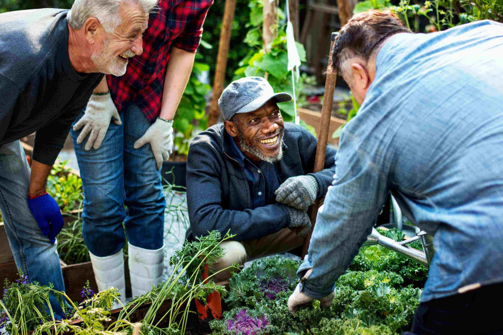 Gardening 桌布 壁紙 — 四位快樂的園丁在明亮的日光下，於充滿活力的菜園裡一起笑著工作。
