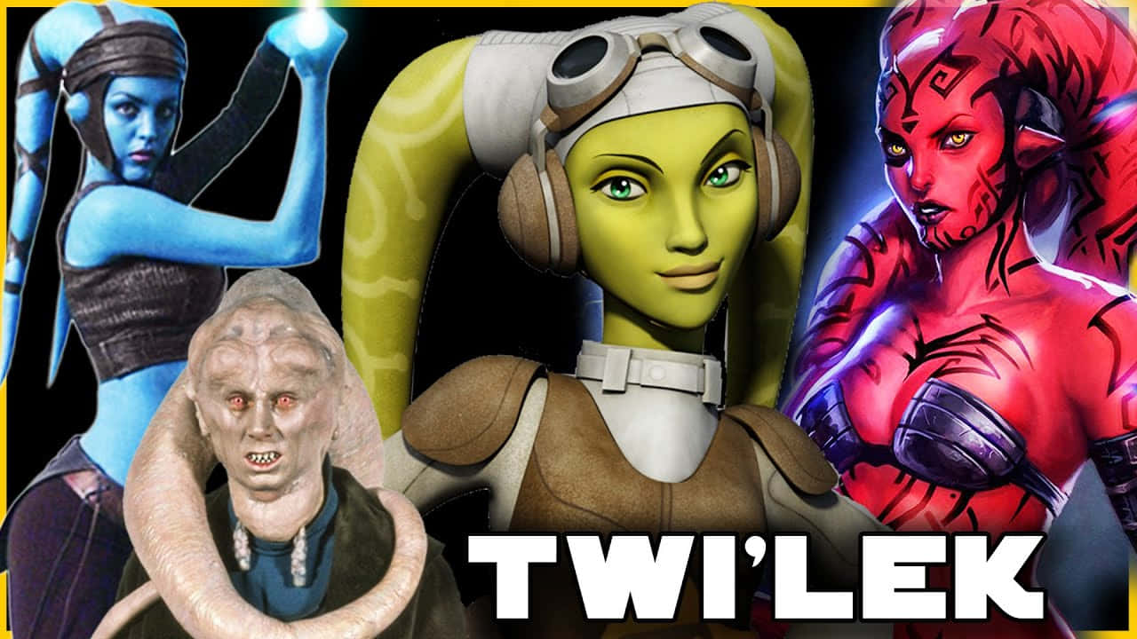 Twi'lek 桌布 壁紙 — 四個來自《星球大戰》的不同特維萊克角色，在黑色背景上以粗體黃色邊框和白色文字擺出姿勢。