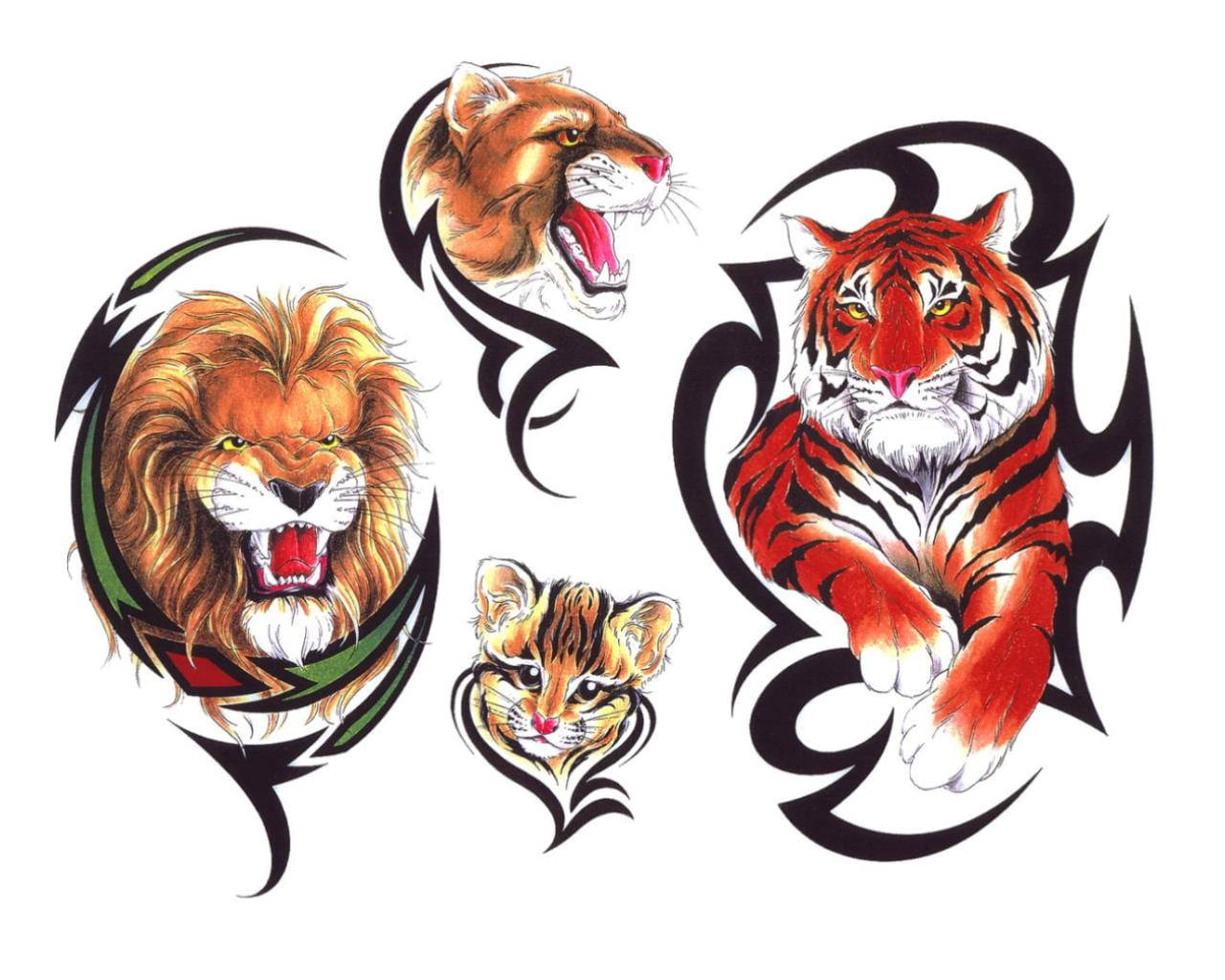 獅子 桌布 壁紙 — 四個兇猛的貓科動物頭部——獅子、美洲獅、老虎和小貓——以大膽的部落紋身風格呈現，色彩鮮豔，黑色輪廓銳利。