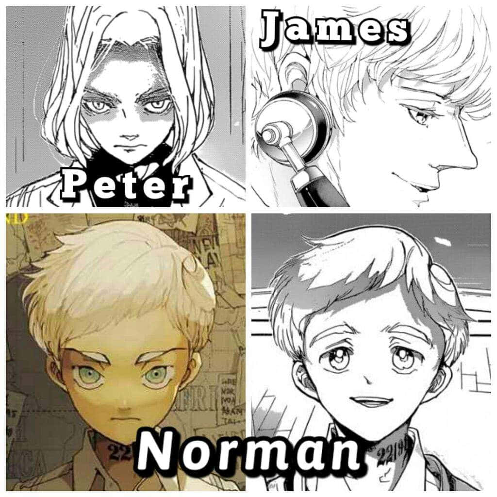 The Promised Neverland Peter Ratri 桌布 壁紙 — 四個動漫角色 Peter James Norman 和另一個以黑白漫畫風格呈現，具有粗線條和富有表現力的眼睛。