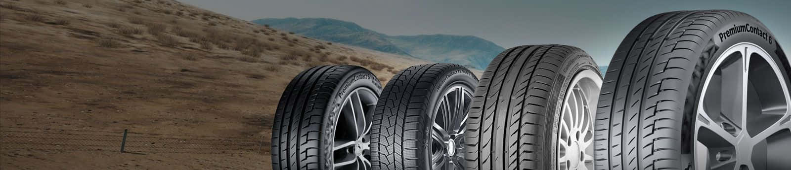 Winter Tires 桌布 壁紙 — 四個帶合金輪圈的汽車輪胎在陰天下一字排開，背景是乾燥的丘陵景觀。