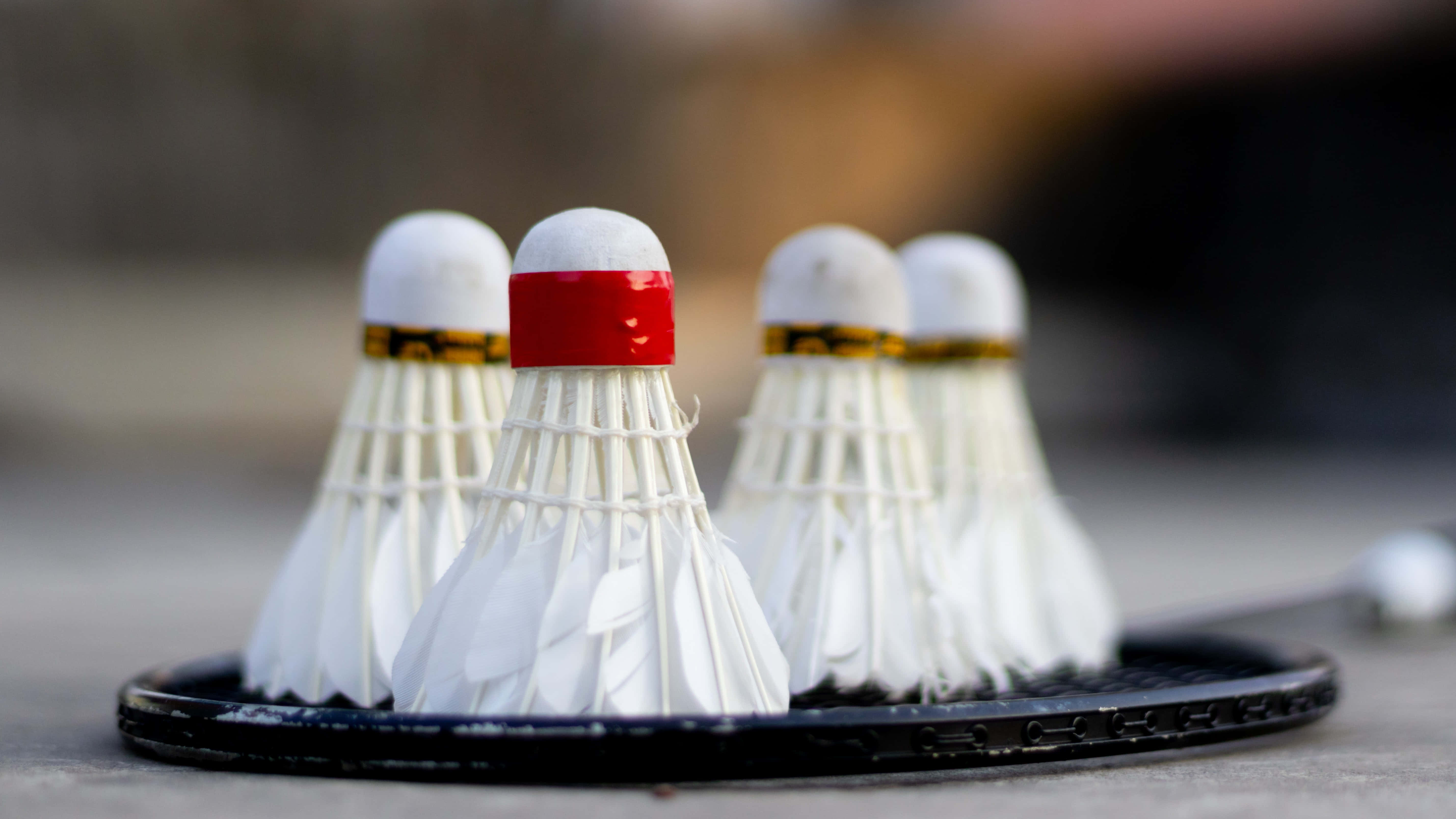 Badminton 桌布 壁紙 — 四個帶有一條紅色帶的羽毛球，以淺景深放置在球拍頭上。