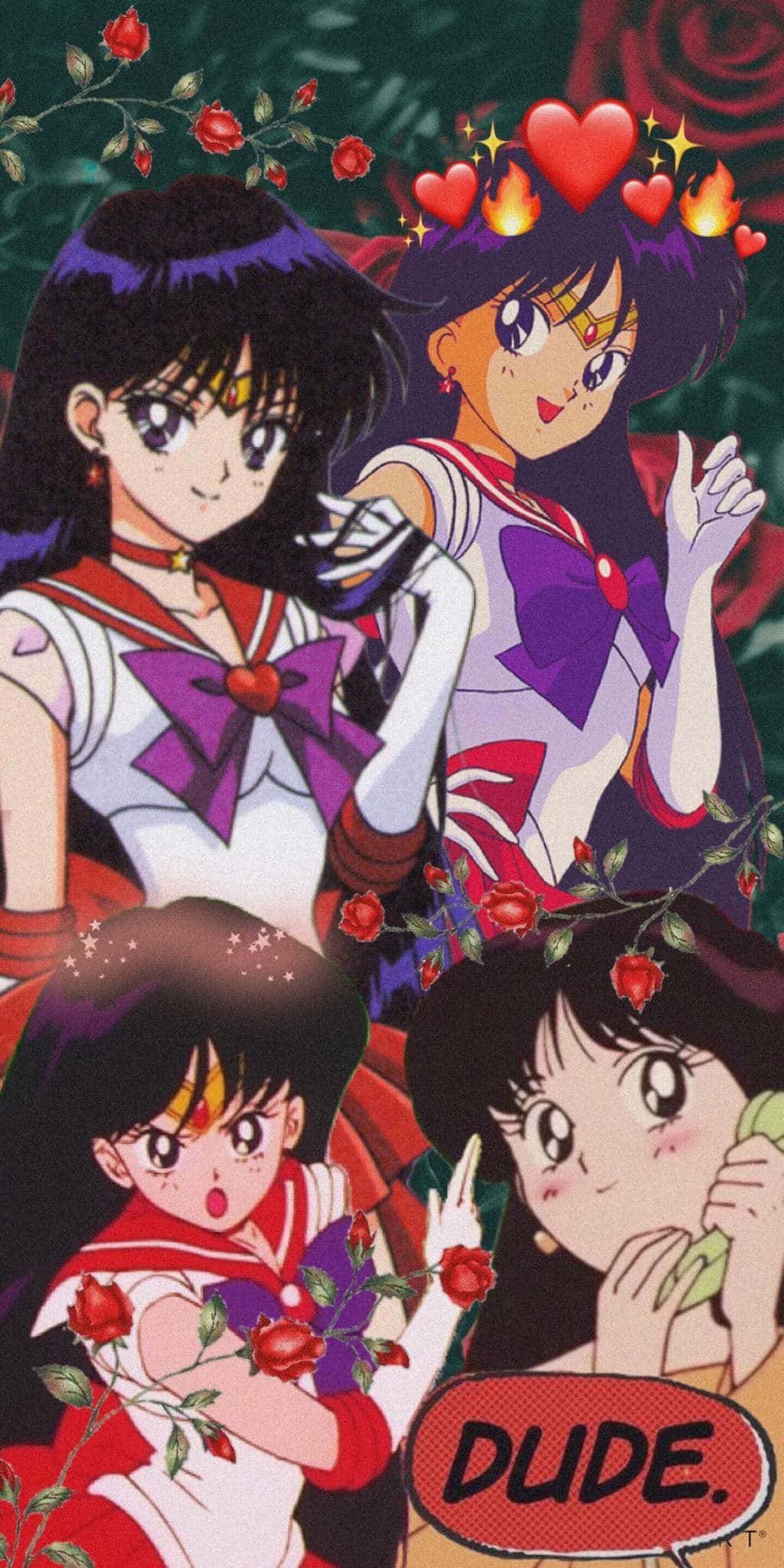 sailor mars 桌布 壁紙 — 四個穿著水手服嘅動畫女仔被紅玫瑰同漂浮嘅心形包圍，仲有個對話氣泡寫住 dude。