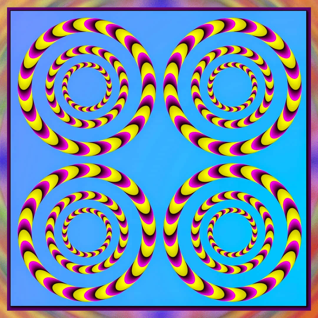 Optical Illusions 桌布 壁紙 — 四個黃色和洋紅色的催眠螺旋在明亮的藍色背景上旋轉，創造出迷人的視覺錯覺。