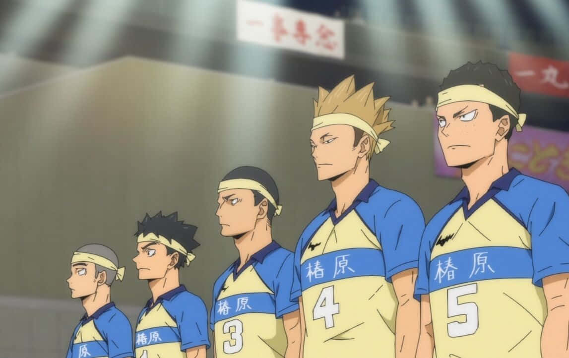 Tsubakihara 桌布 壁紙 — 四名身穿藍黃球衣的決心動漫排球運動員在明亮的體育場燈光下站在球場上排成一排。