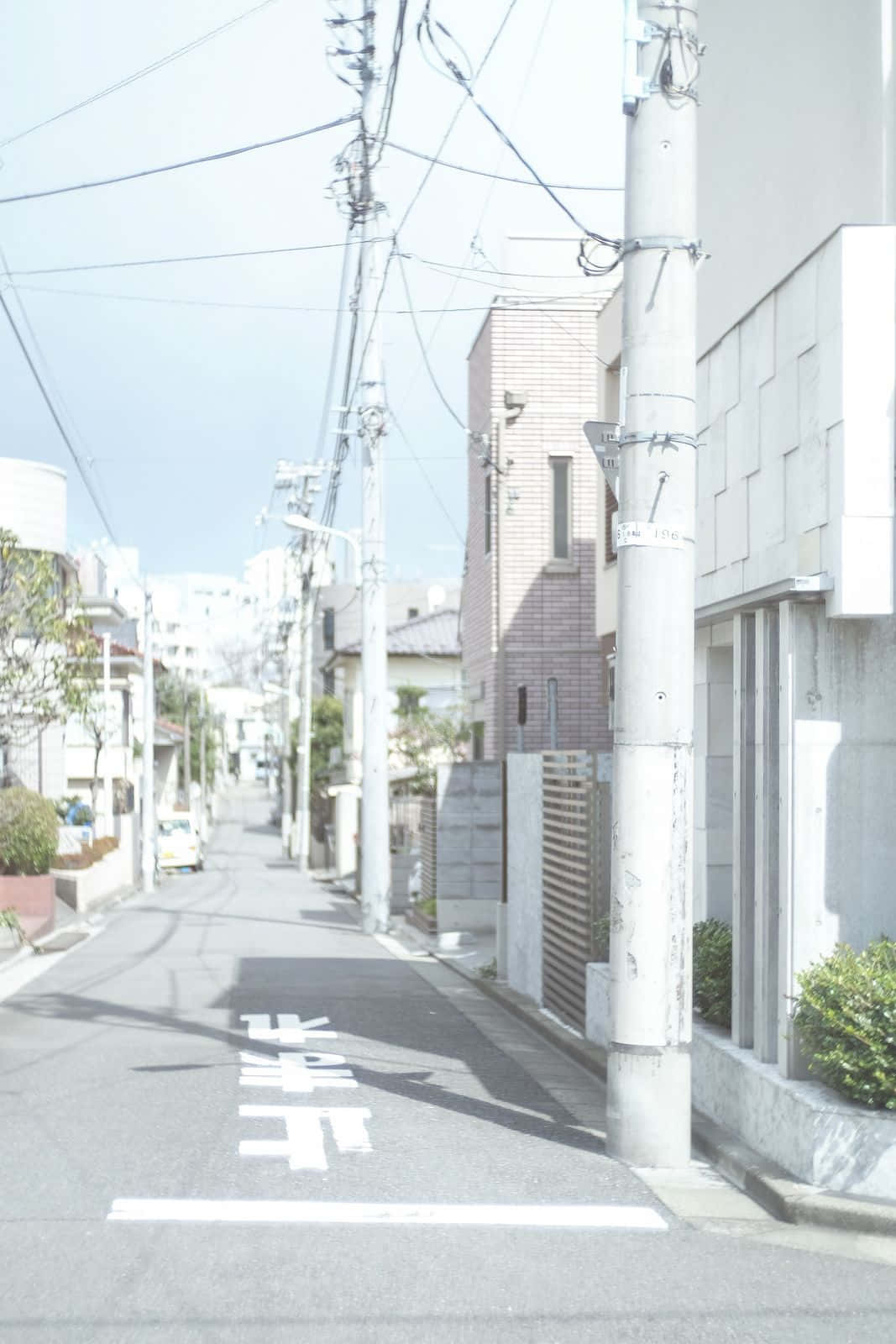 一條寧靜的日本城市小巷，頭頂有電線和柔和的陰影。 — 美學白色動態圖 壁紙