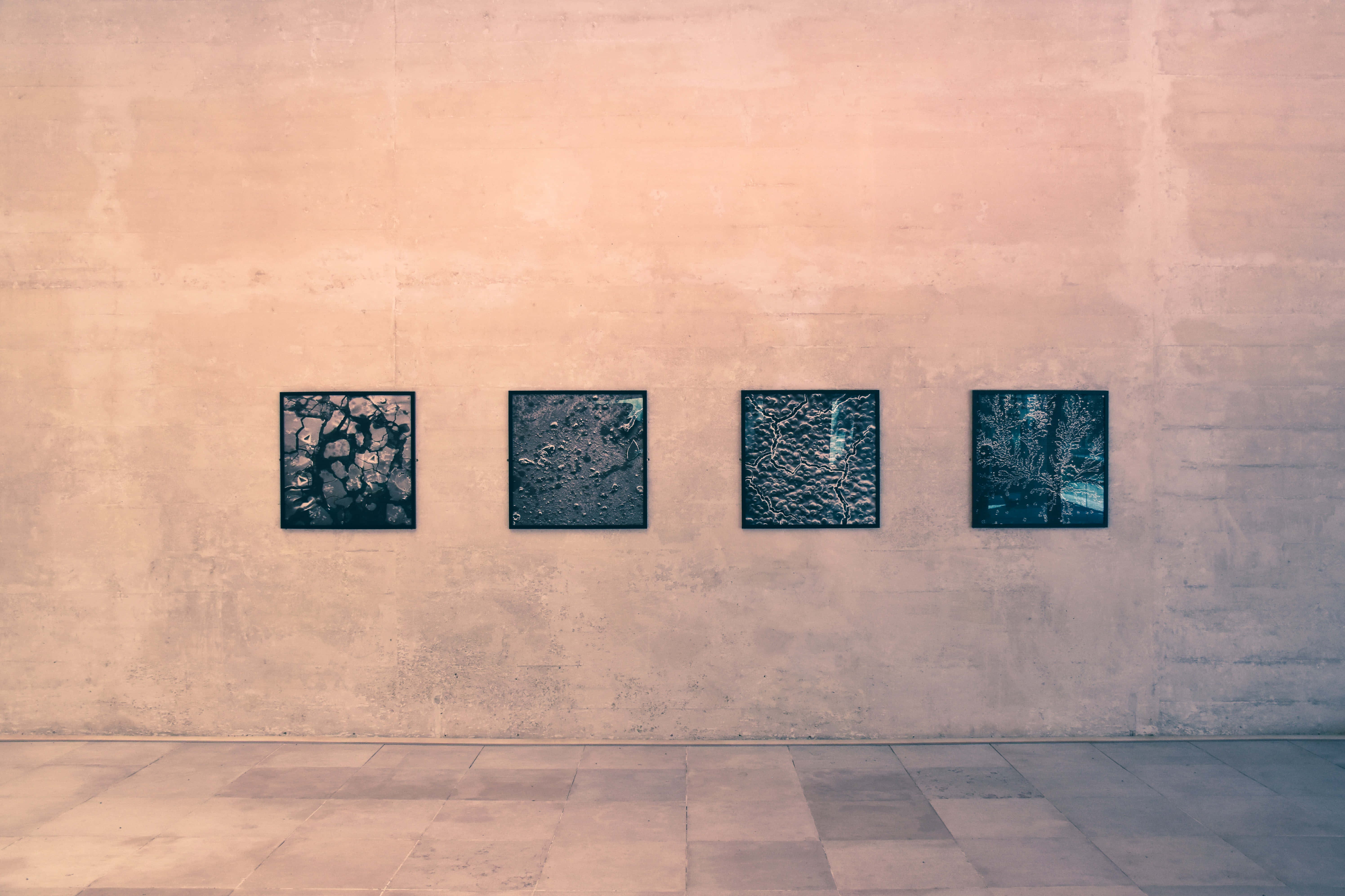Gallery 桌布 壁紙 — 四幅裱框抽象藝術品在簡約畫廊空間中，排列在帶有紋理的桃色牆上。
