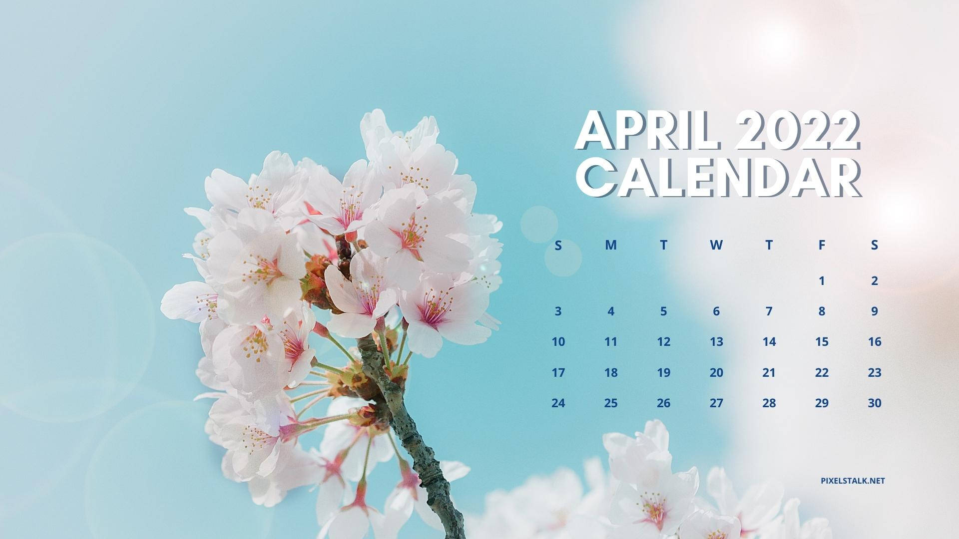 2022年4月日曆，藍色背景上的櫻花枝