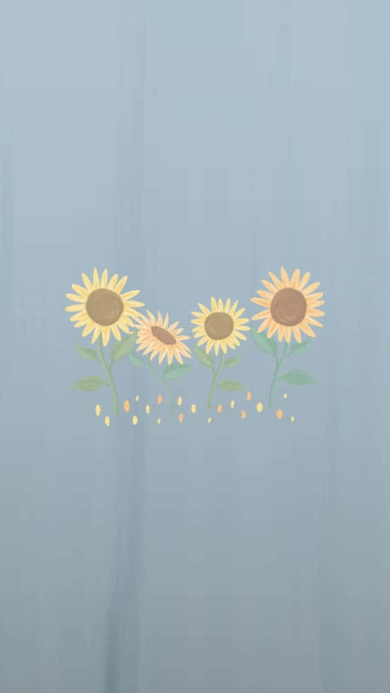 Cute Flower 桌布 壁紙 — 四朵風格化的向日葵，黃色花瓣和棕色花心，在柔和的藍色紋理背景上綻放。