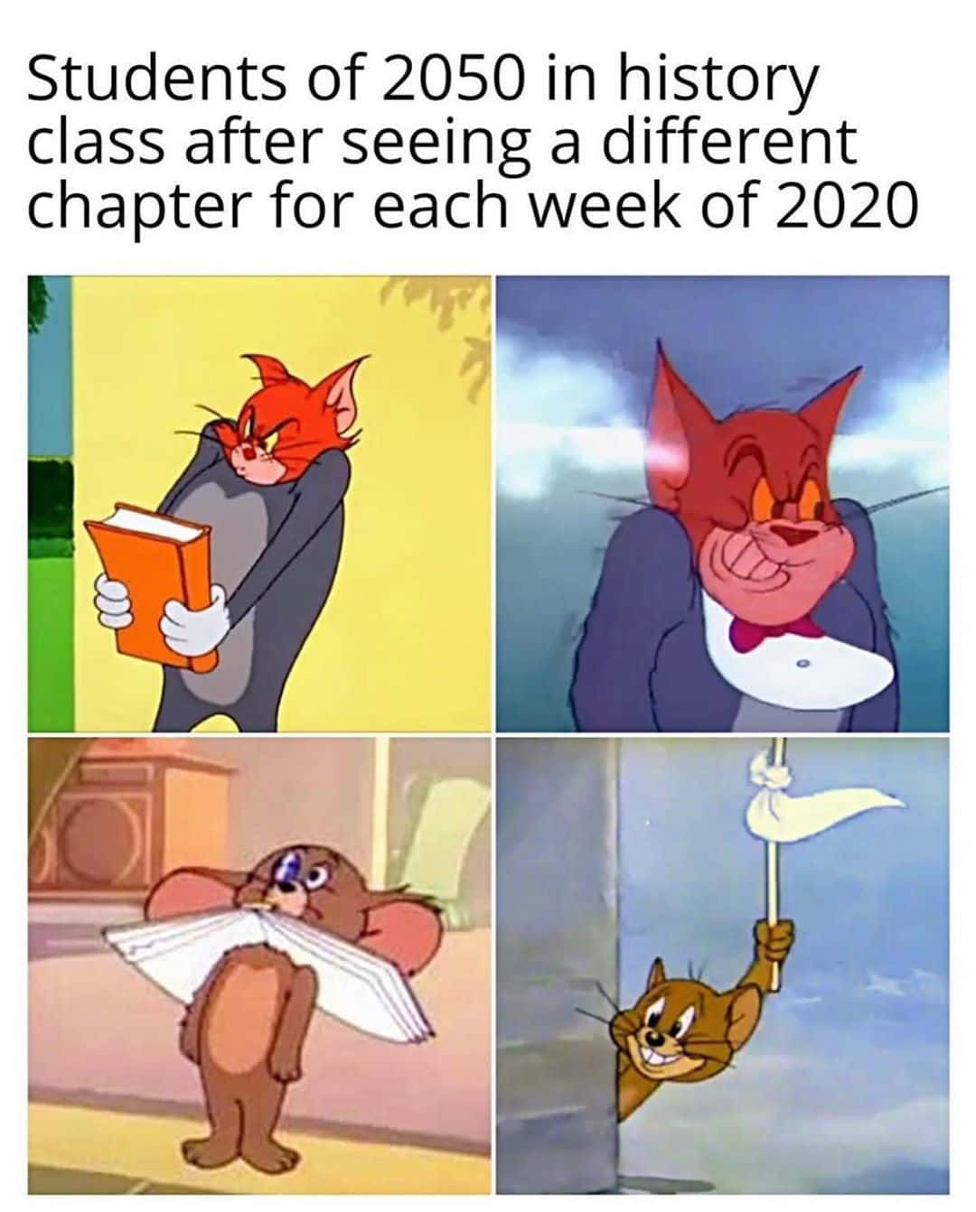Learning Memes 桌布 壁紙 — 四格漫畫迷因，顯示湯姆和傑瑞對2020年歷史課的反應：無聊、困惑和興奮。