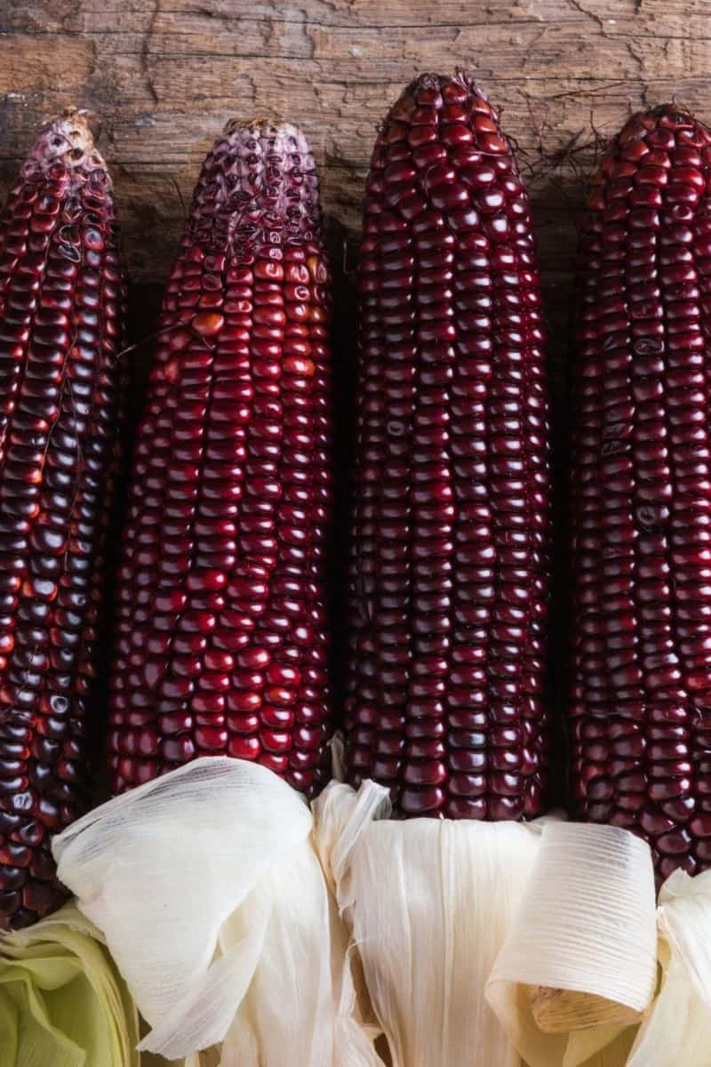 Purple Corn 桌布 壁紙 — 四條鮮紅色粟米，剝去外殼，靠在一塊經風化的木質表面上。