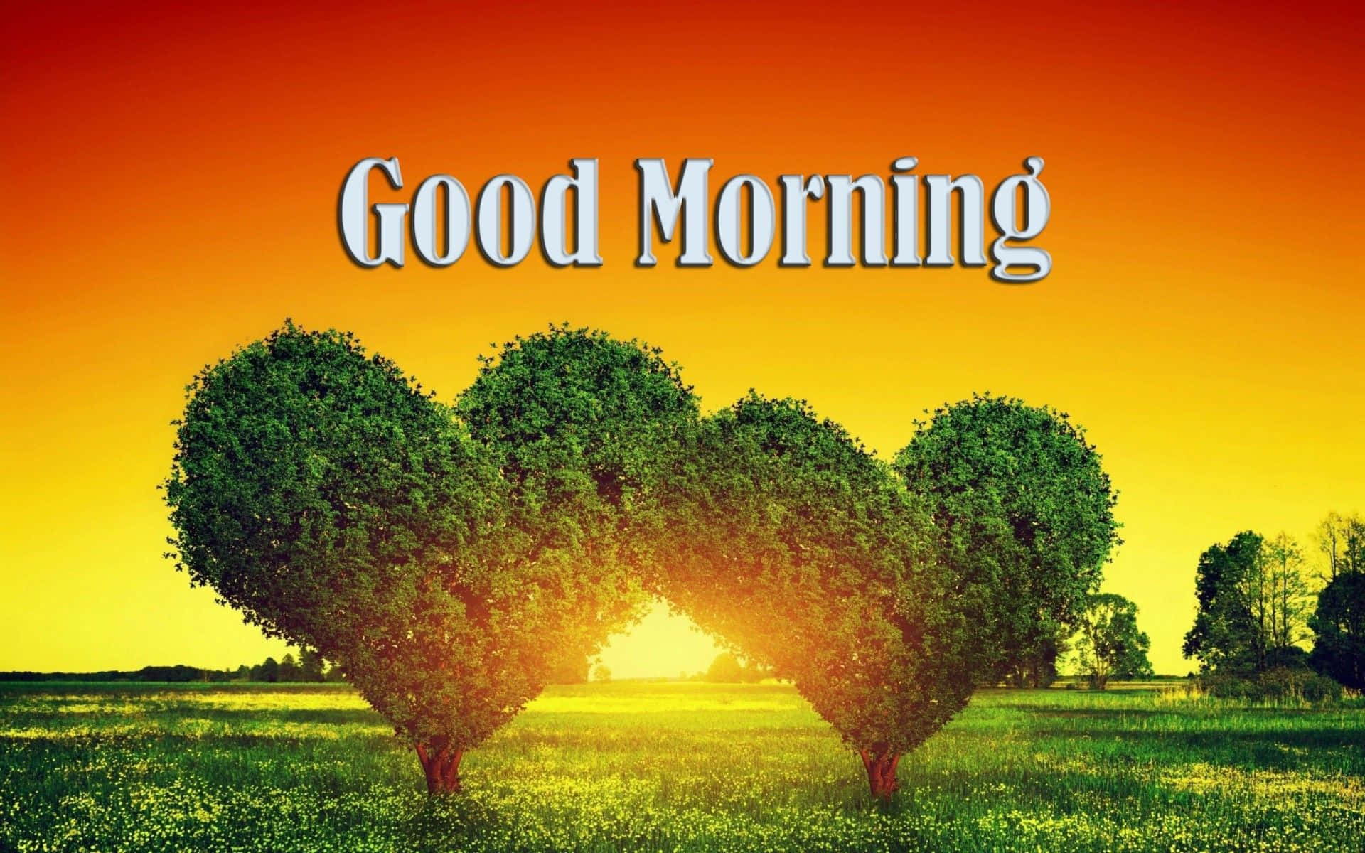 Good Morning 桌布 壁紙 — 四棵心形樹在充滿活力的橙色和黃色日出天空下，在陽光明媚的田野上形成拱門，並帶有「早晨」文字。