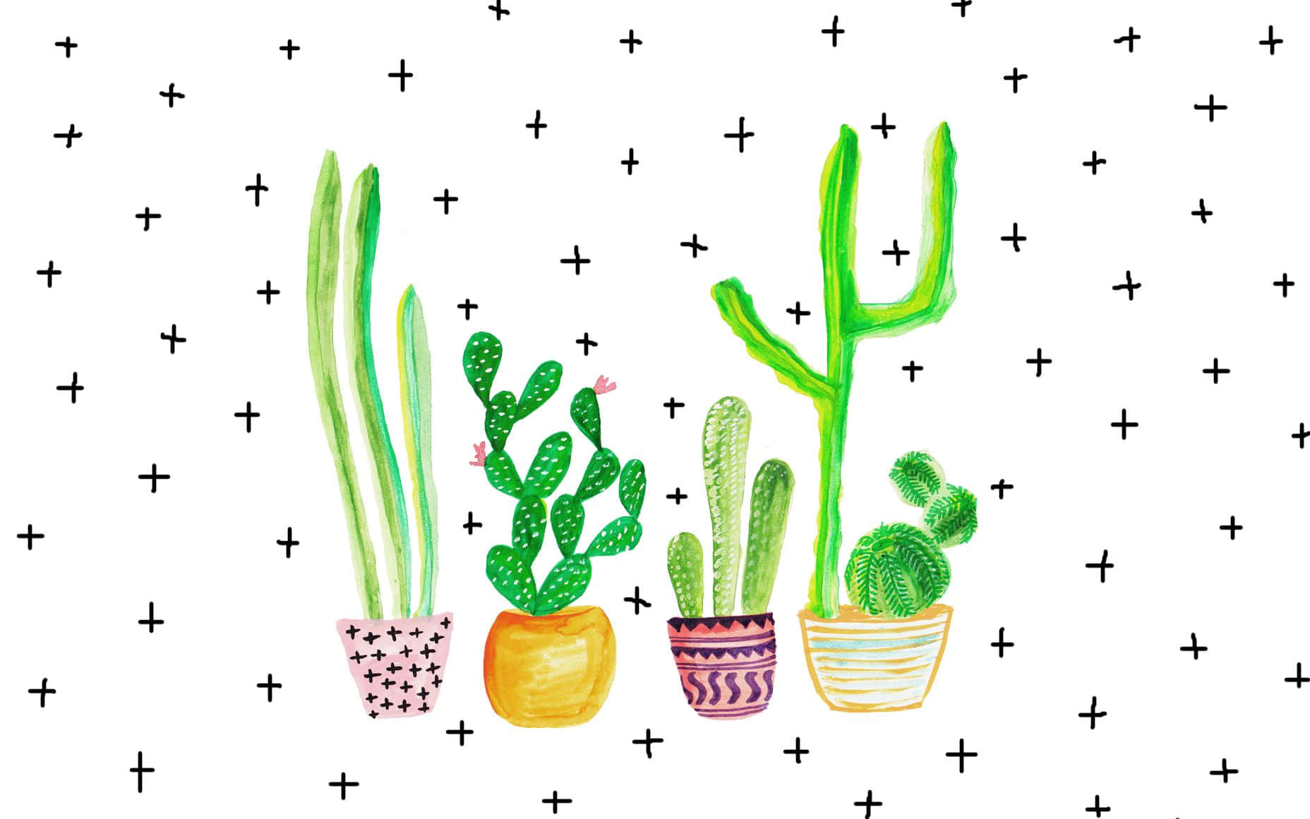 Kawaii Cactus 桌布 壁紙 — 四盆色彩繽紛的盆栽仙人掌，花盆上有星星和鋸齒圖案，站在佈滿黑色加號的白色背景前。