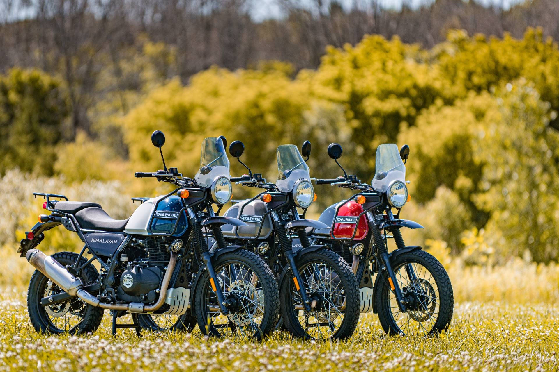 自行車 桌布 壁紙 — 四輛 Royal Enfield Himalayan 電單車排成一列，停放在陽光明媚的草地上，背景有黃色樹葉。
