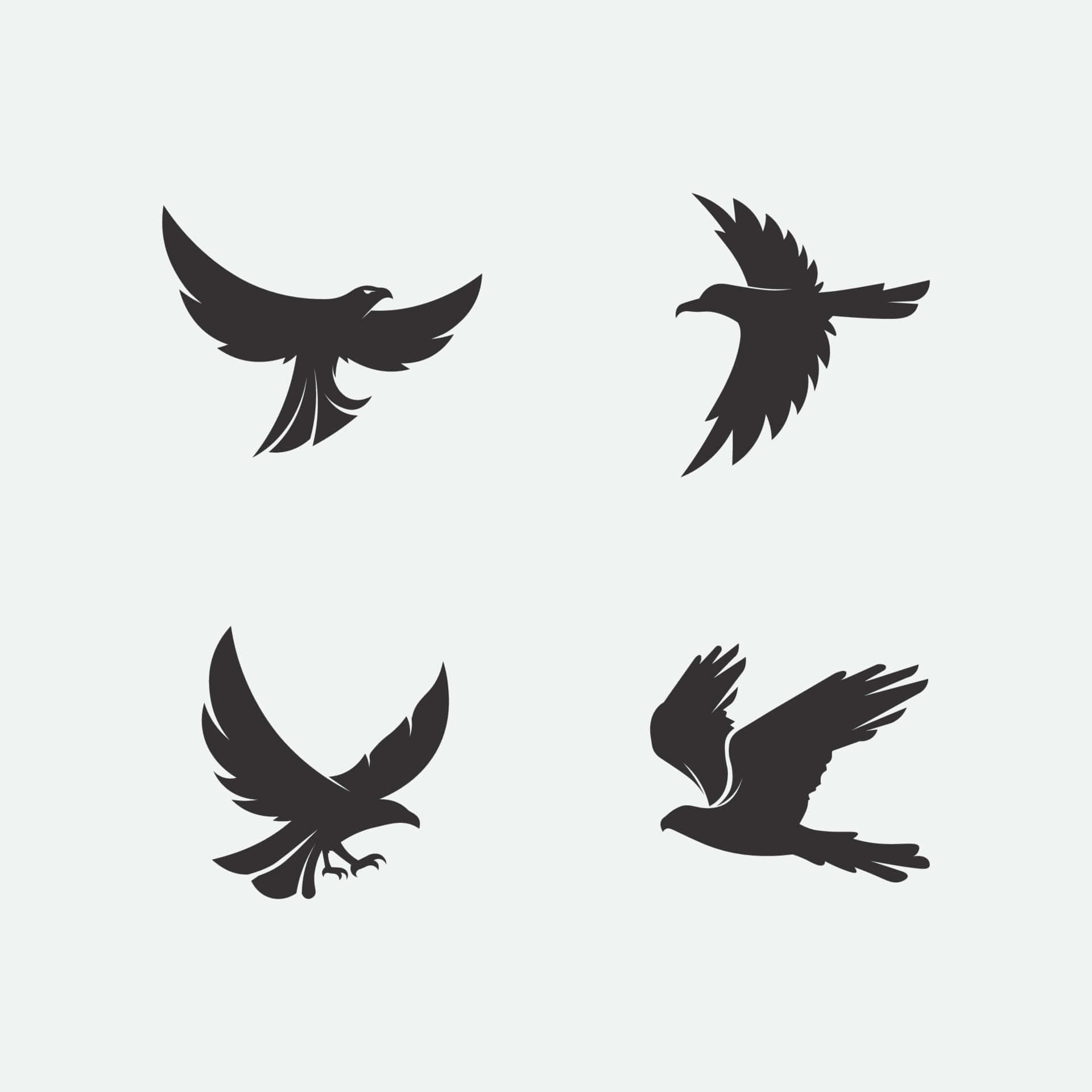 Dove Wings 桌布 壁紙 — 四隻黑色鷹剪影在淺灰色背景上飛翔，每隻都呈現不同的動態姿勢。