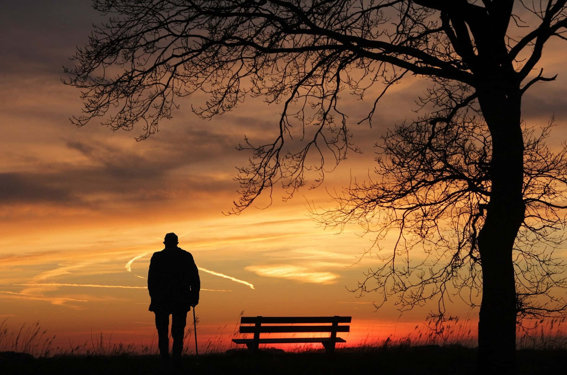 老人拄著拐杖，在夕陽下站在光禿禿的樹下的空長椅旁。