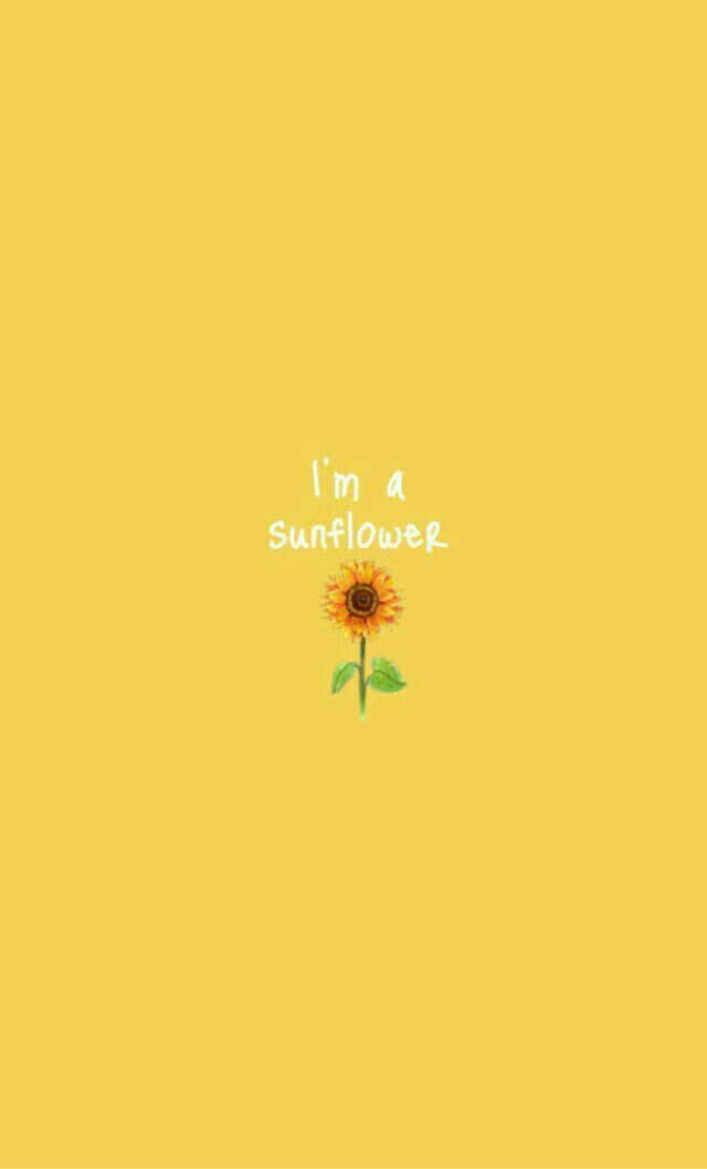 一個向日葵，背景為黃色，帶有文字「i'm a sunflower」。