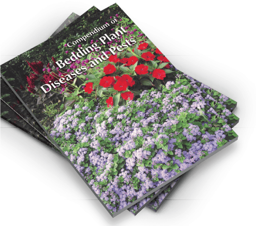 園藝書籍：紫羅蘭病蟲害 壁紙 — 三本疊起的園藝書籍，名為《Compendium of Bedding Plant Diseases and Pests》，封面有鮮豔的紅色和紫色花朵。