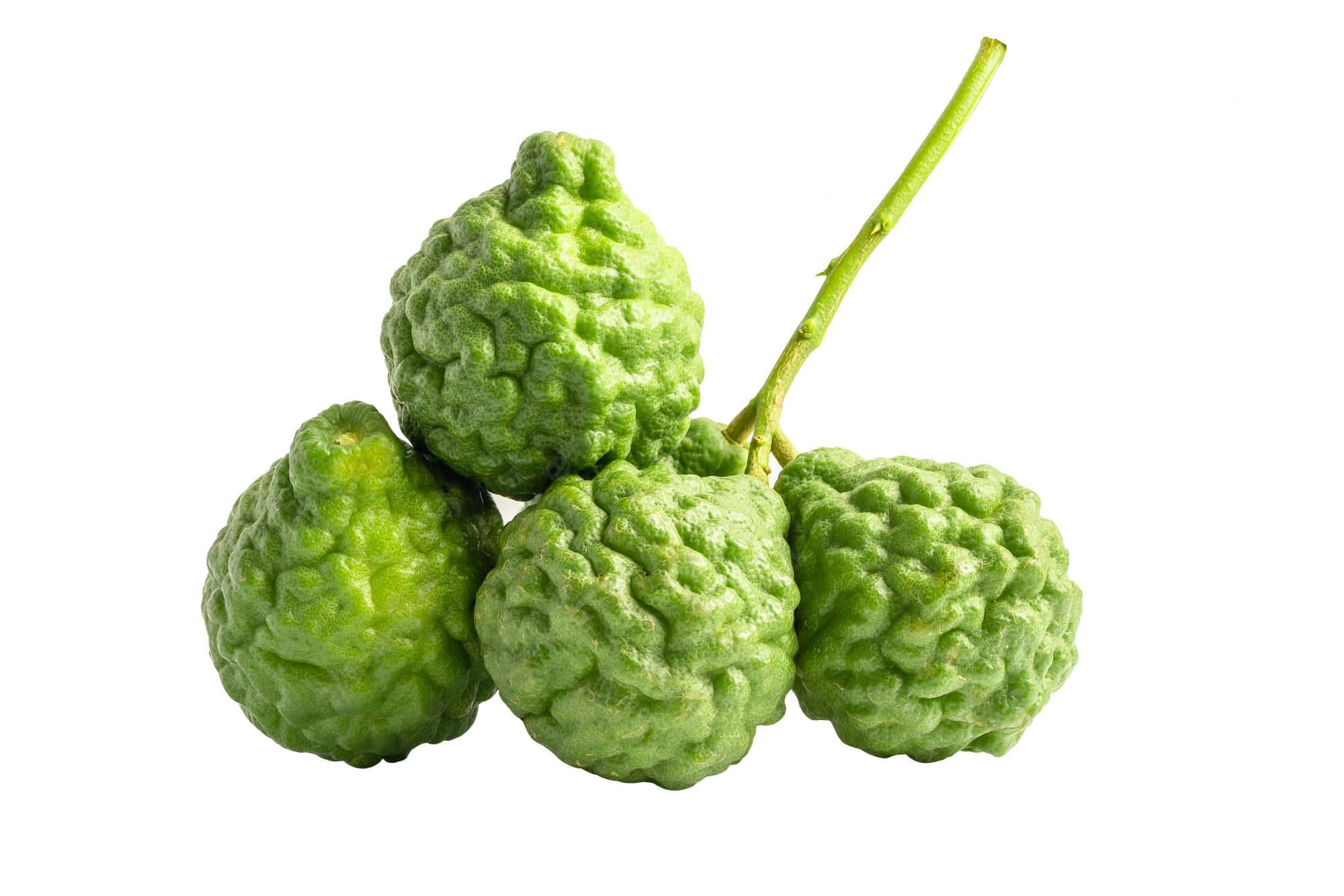 圓形綠色原生檸檬香茅 壁紙 — 四個凹凸不平的綠色柑橘類水果聚在莖上，以純白背景襯托。