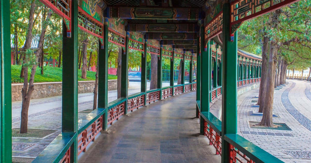 圓明園曲徑長廊 壁紙 — 一條傳統中式亭閣走廊，綠色柱子與紅色欄杆蜿蜒穿過樹木成蔭的花園小徑。