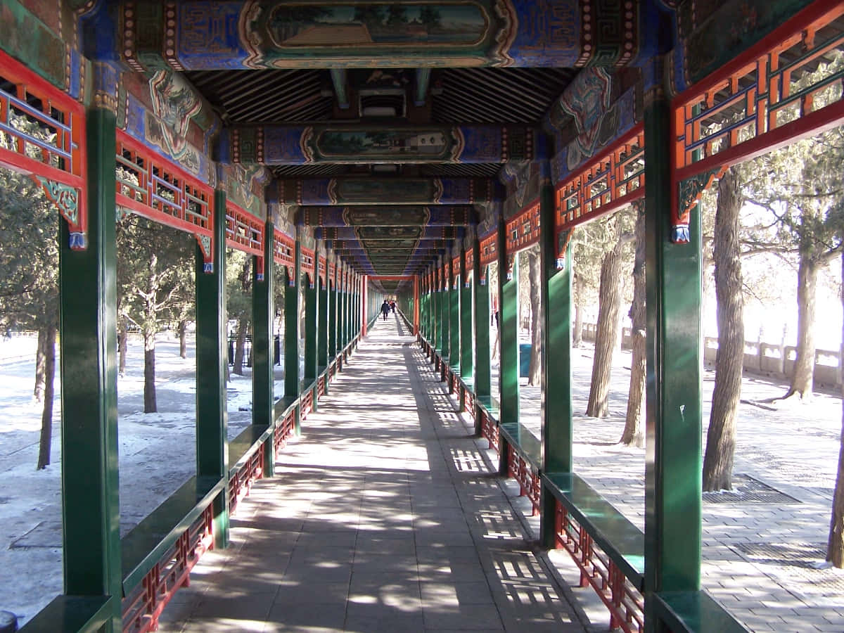 圓明園長廊 壁紙 — 一條長長的傳統中式走廊，綠色柱子與紅色欄杆，在明媚陽光下延伸至遠方，在瓷磚路上投下斑駁的陰影。