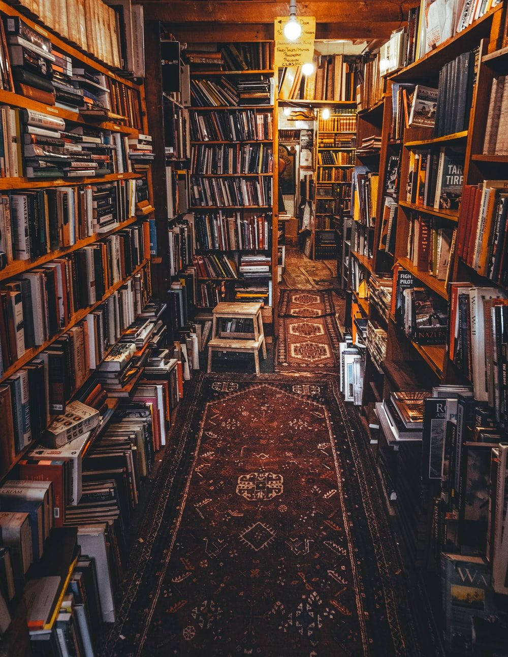 舒適的書店通道，有高大的木架和圖案地毯，在溫暖燈光下。