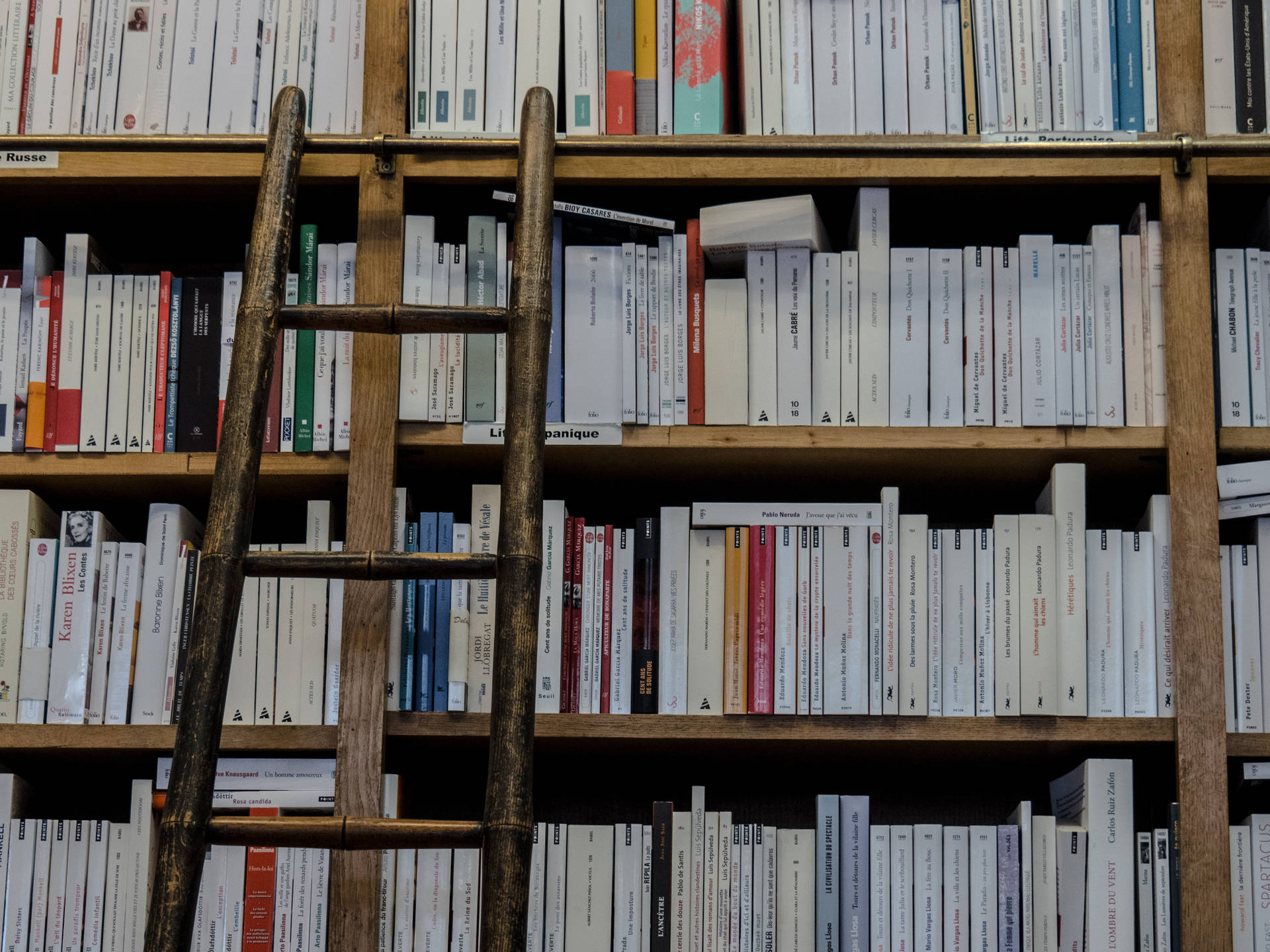 一個木梯靠在圖書館的書架上。
