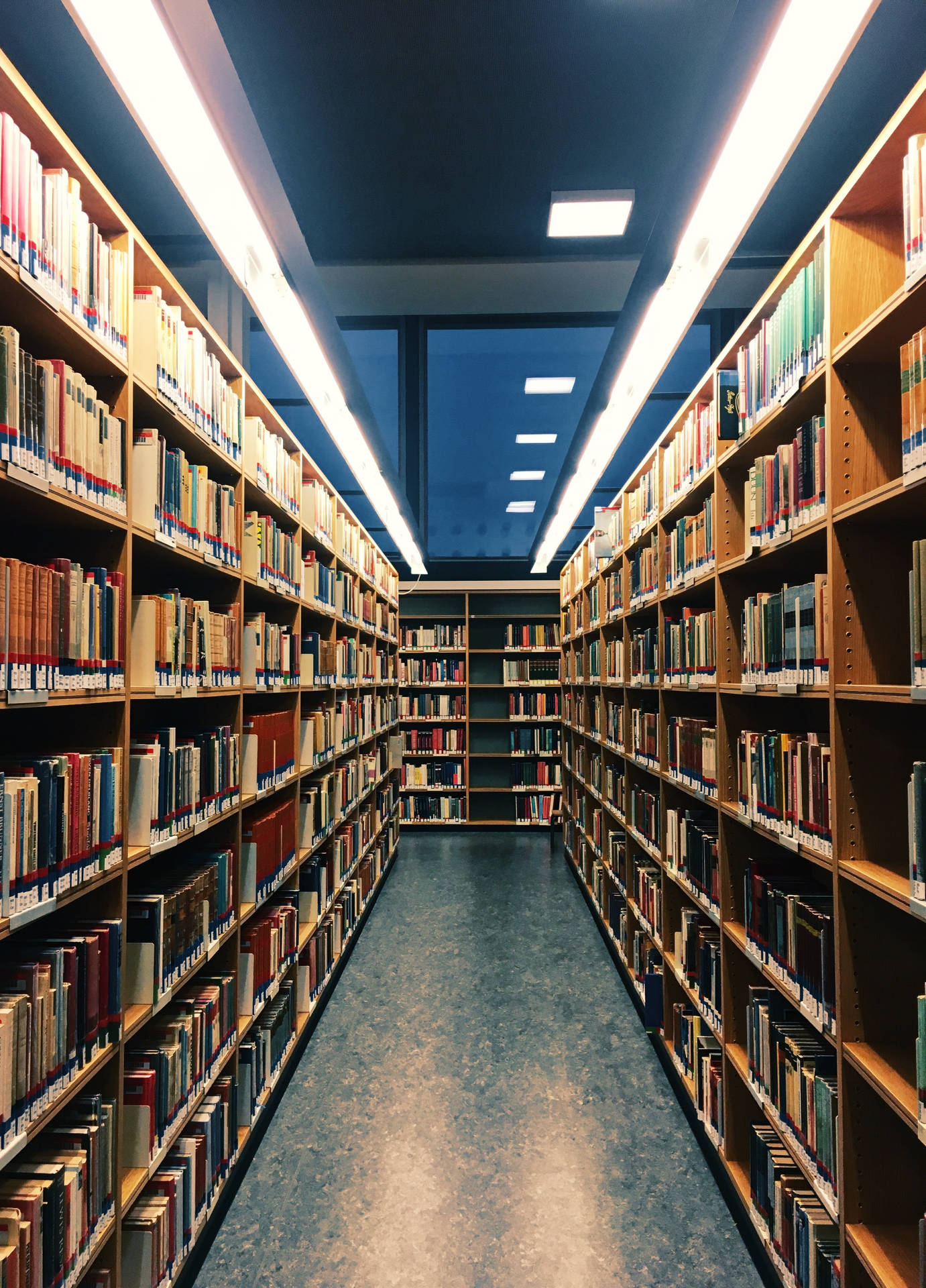長長的圖書館通道，有高聳的木書架和螢光燈照明。
