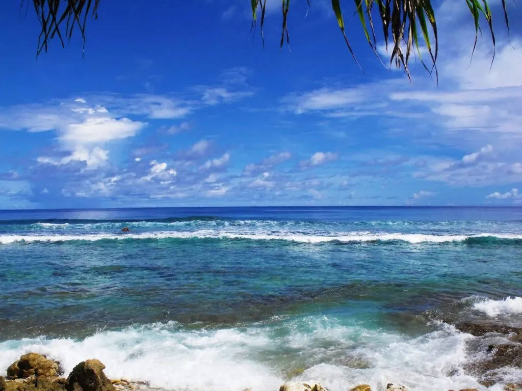 圖瓦利海浪 壁紙 — 充滿活力的藍綠色海浪拍打岩石海岸，在棕櫚葉框住的明亮藍天下。