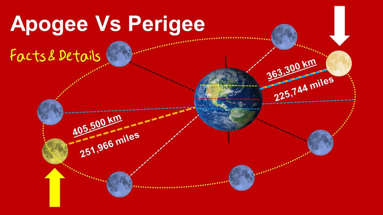 Perigee 桌布 壁紙 — 圖表說明月球遠地點和近地點與地球的距離，在紅色背景上標有測量值。