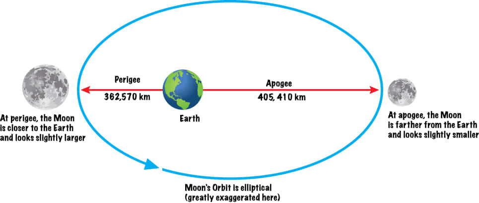 Perigee 桌布 壁紙 — 圖表顯示地球在中心，月球以橢圓軌道運行，標示近地點和遠地點及距離測量。