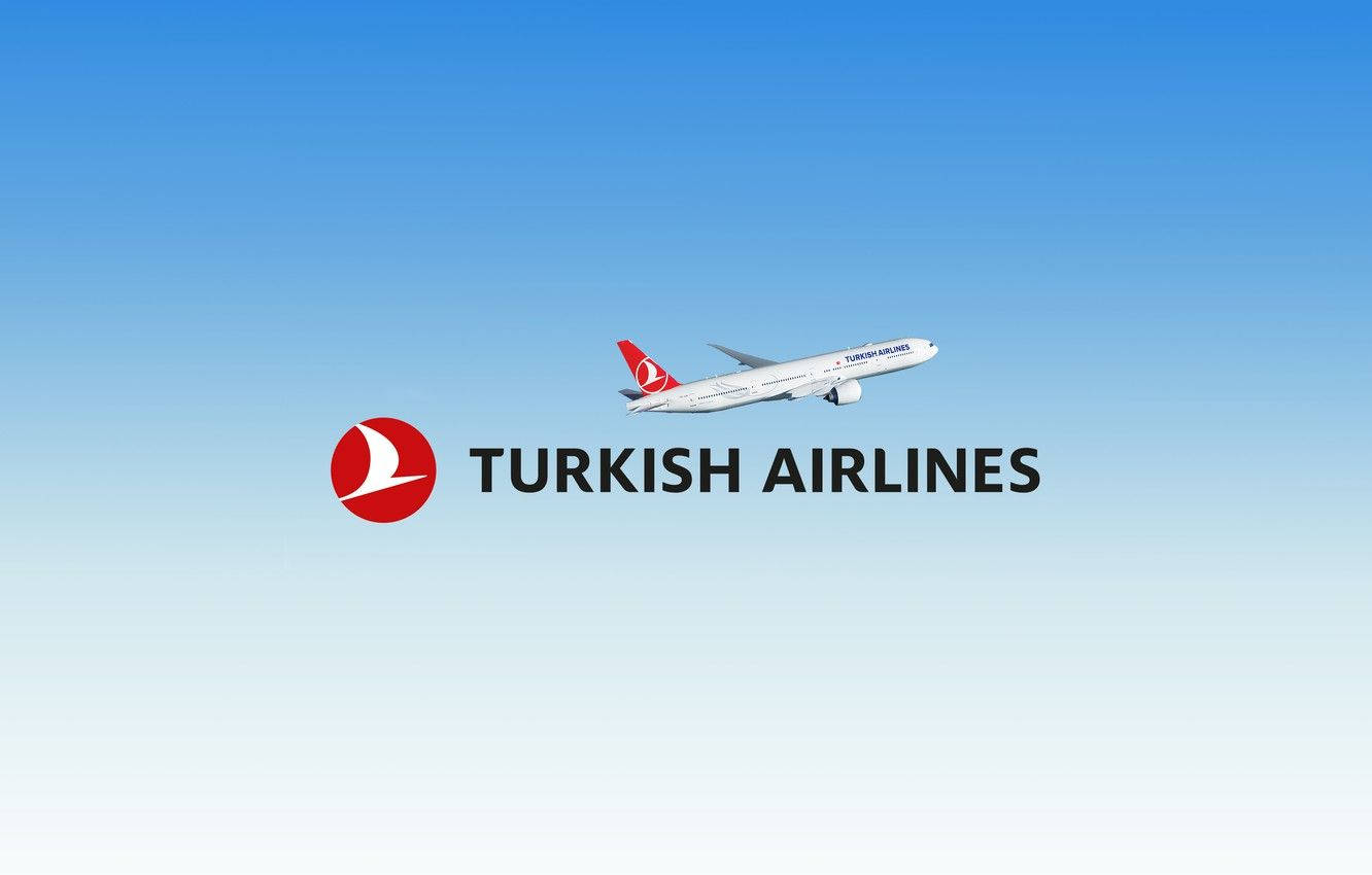 土耳其航空飛機在公司標誌和文字上方飛行。