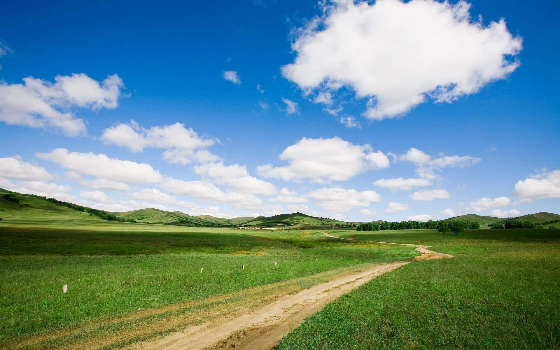 土路草地與天空背景 壁紙 — 一條蜿蜒的泥土路穿過無盡的綠色草原，上方是明亮的藍天，點綴著蓬鬆的白雲。
