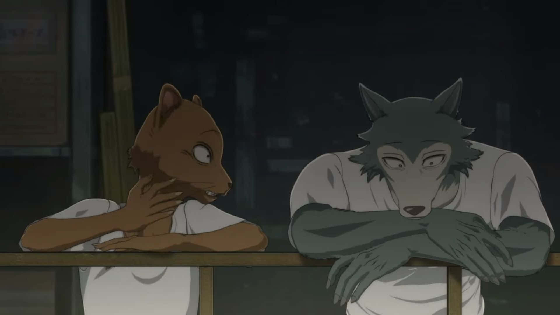 「在《Beastars》中，跟隨 Legoshi 與 Haru 的成長之旅」 壁紙 — 兩個擬人化動物角色坐在光線昏暗的房間裡的櫃檯前，一個是棕色狐狸狀，一個是灰色狼狀，兩人都雙手交握向前傾身。