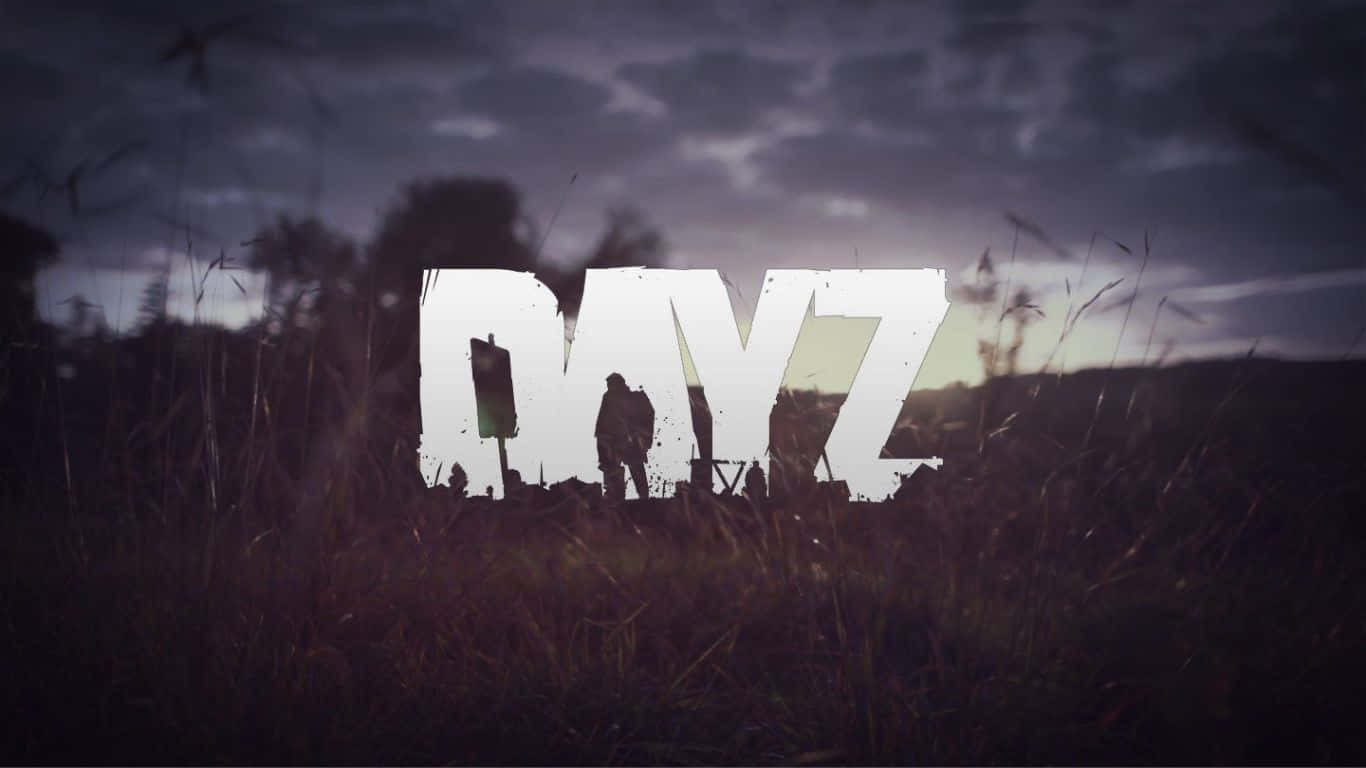 剪影人物企喺DAYZ呢個字後面，喺黃昏嘅草地上。