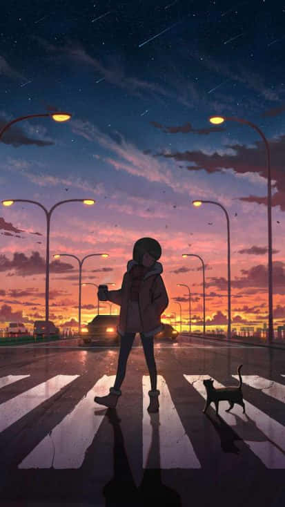 黃昏時分，在閃爍的路燈和星空下，一個人帶著貓過馬路。