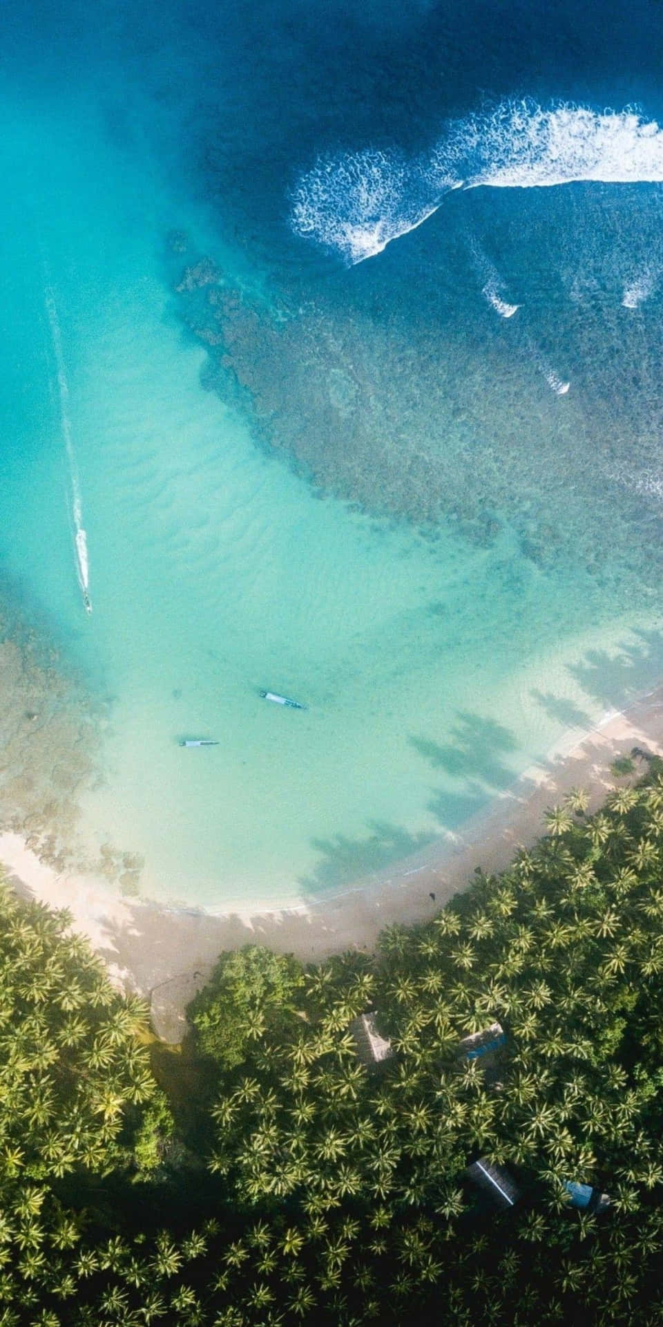熱帶海灘鳥瞰圖，有碧綠海水和棕櫚樹。