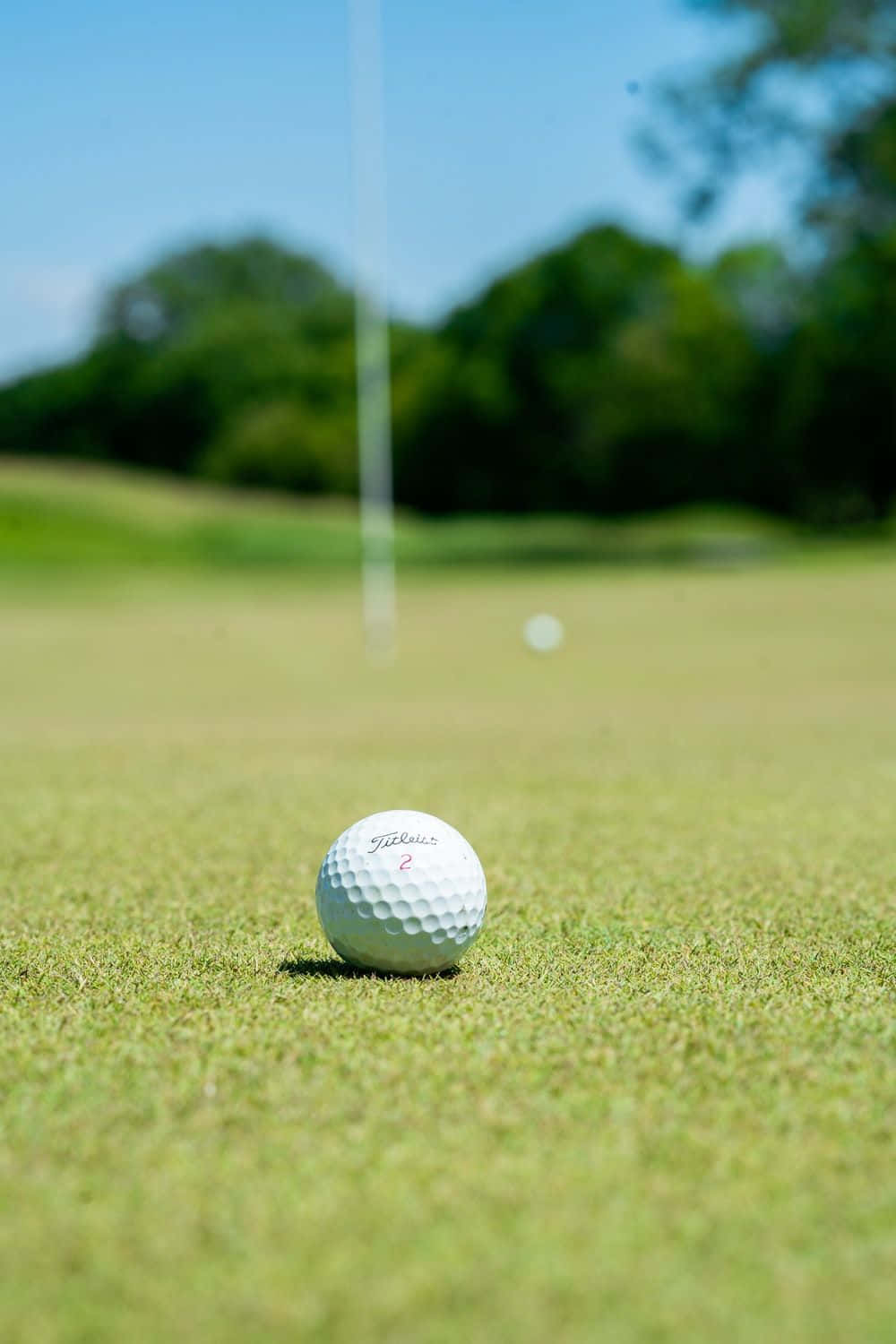 在Awesome Golf享受你人生中最棒的高爾夫時光 壁紙 — 一個白色Titleist高爾夫球放在充滿活力的綠色草地上，背景有模糊的旗桿和樹木，在晴朗的藍天下。