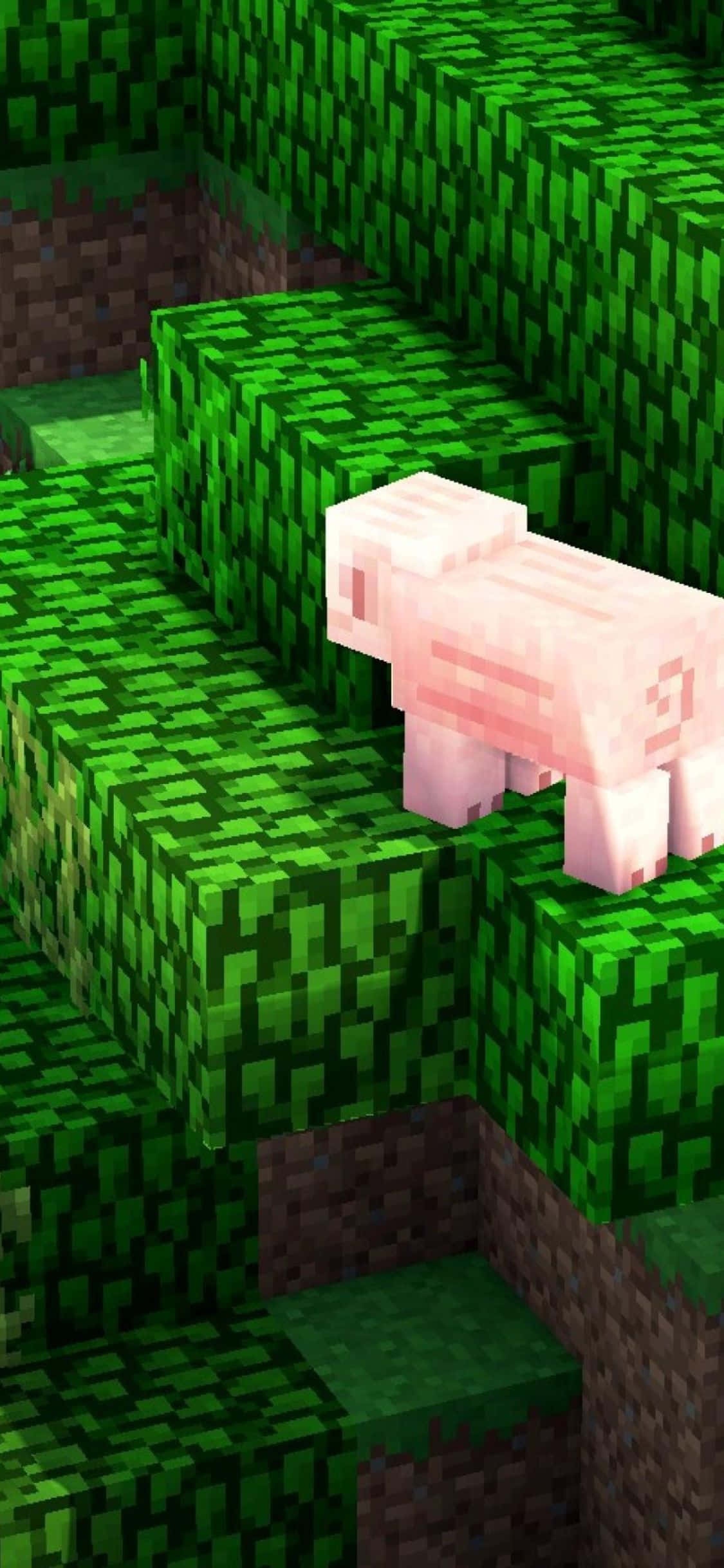 在你的新 iPhone Xs 上享受 Minecraft 世界 壁紙 — 一隻像素化的粉紅色豬站在綠色草塊上，處於方塊狀的Minecraft景觀中。