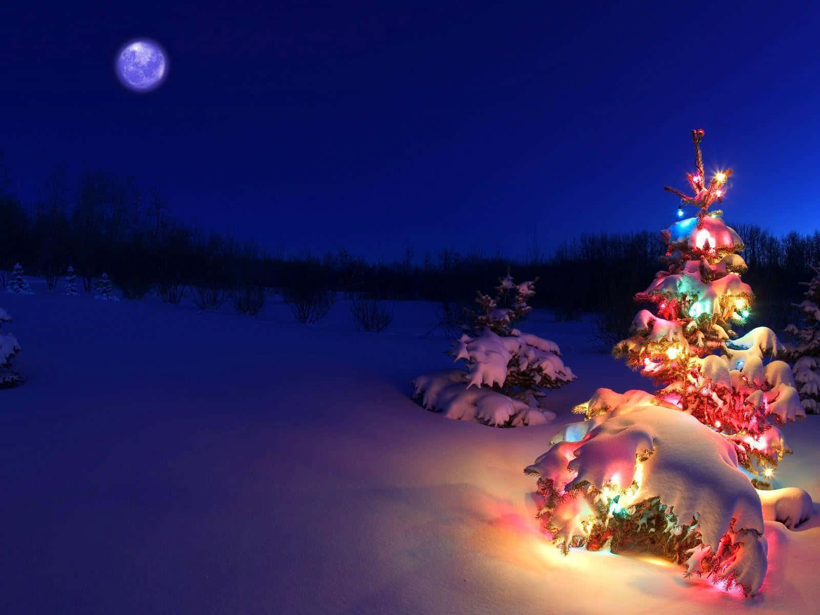 Snowy Christmas 桌布 壁紙 — 在冬夜景色中，滿月下雪覆蓋的聖誕樹閃爍著彩色燈光。