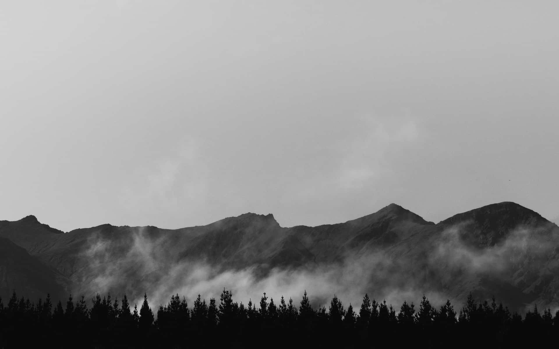 灰色天空下，霧氣瀰漫的山腳處松樹剪影。